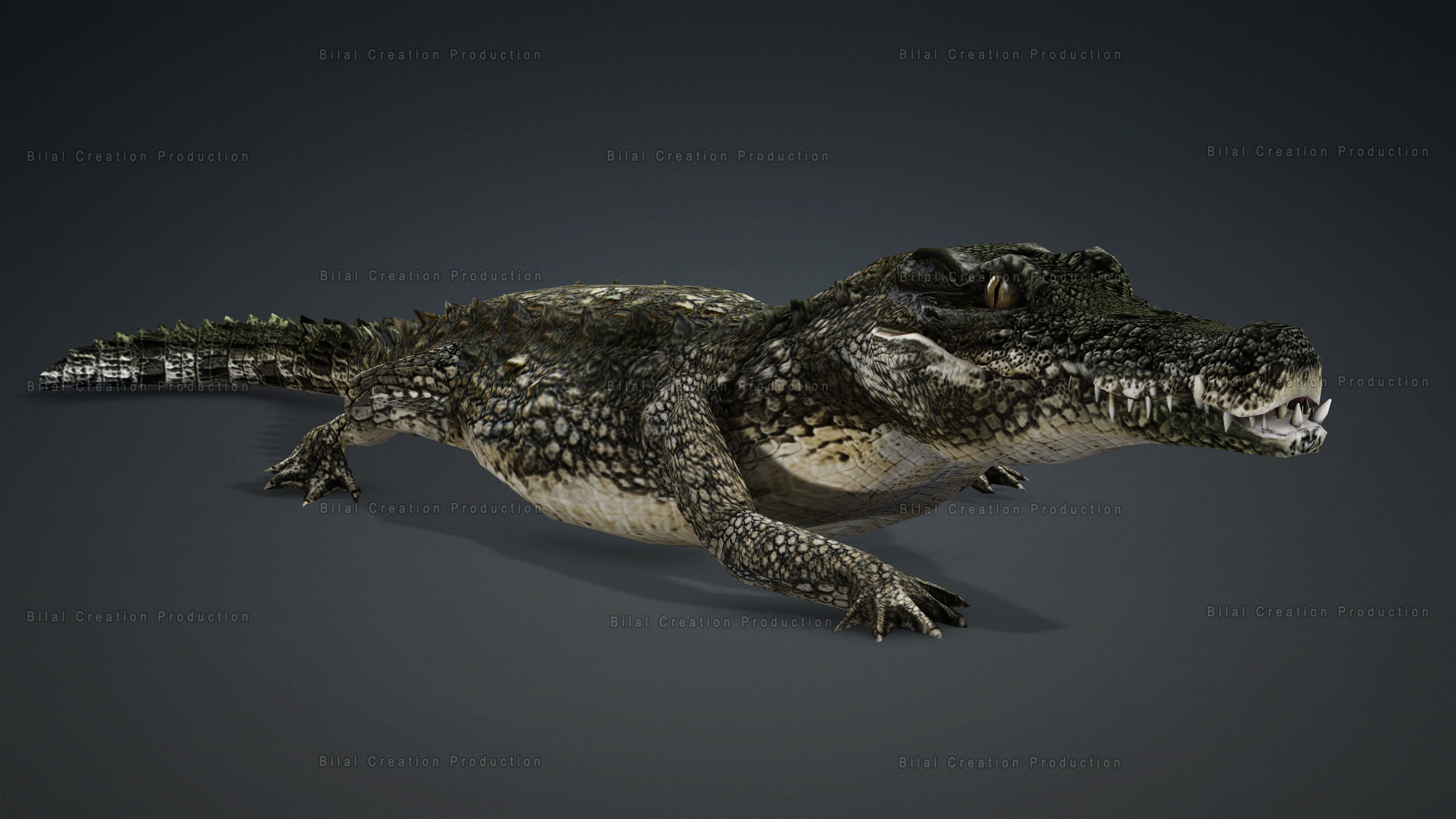CROCODILE RIGGED ANIMATED 7 3D model_4