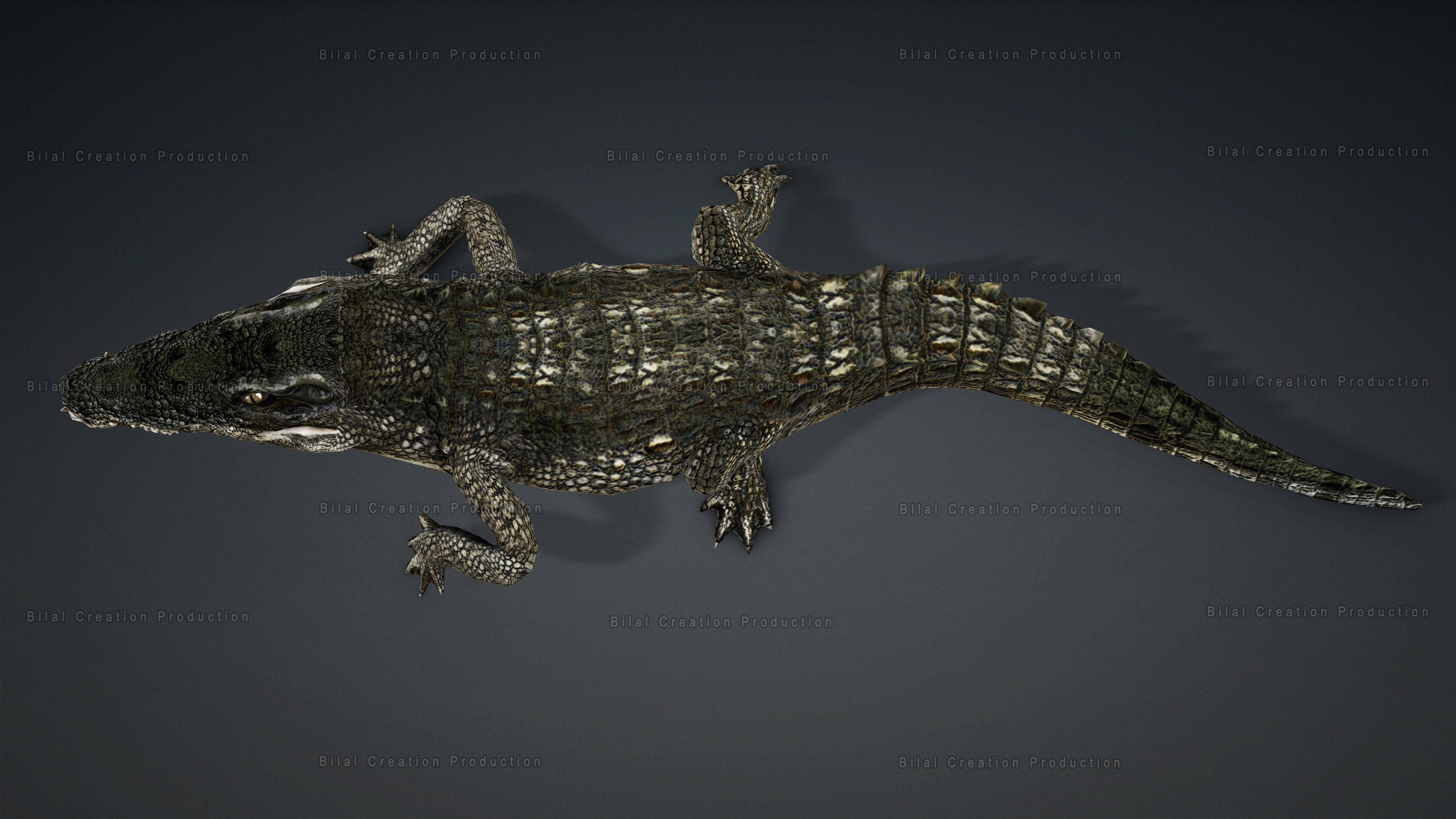 CROCODILE RIGGED ANIMATED 7 3D model_16