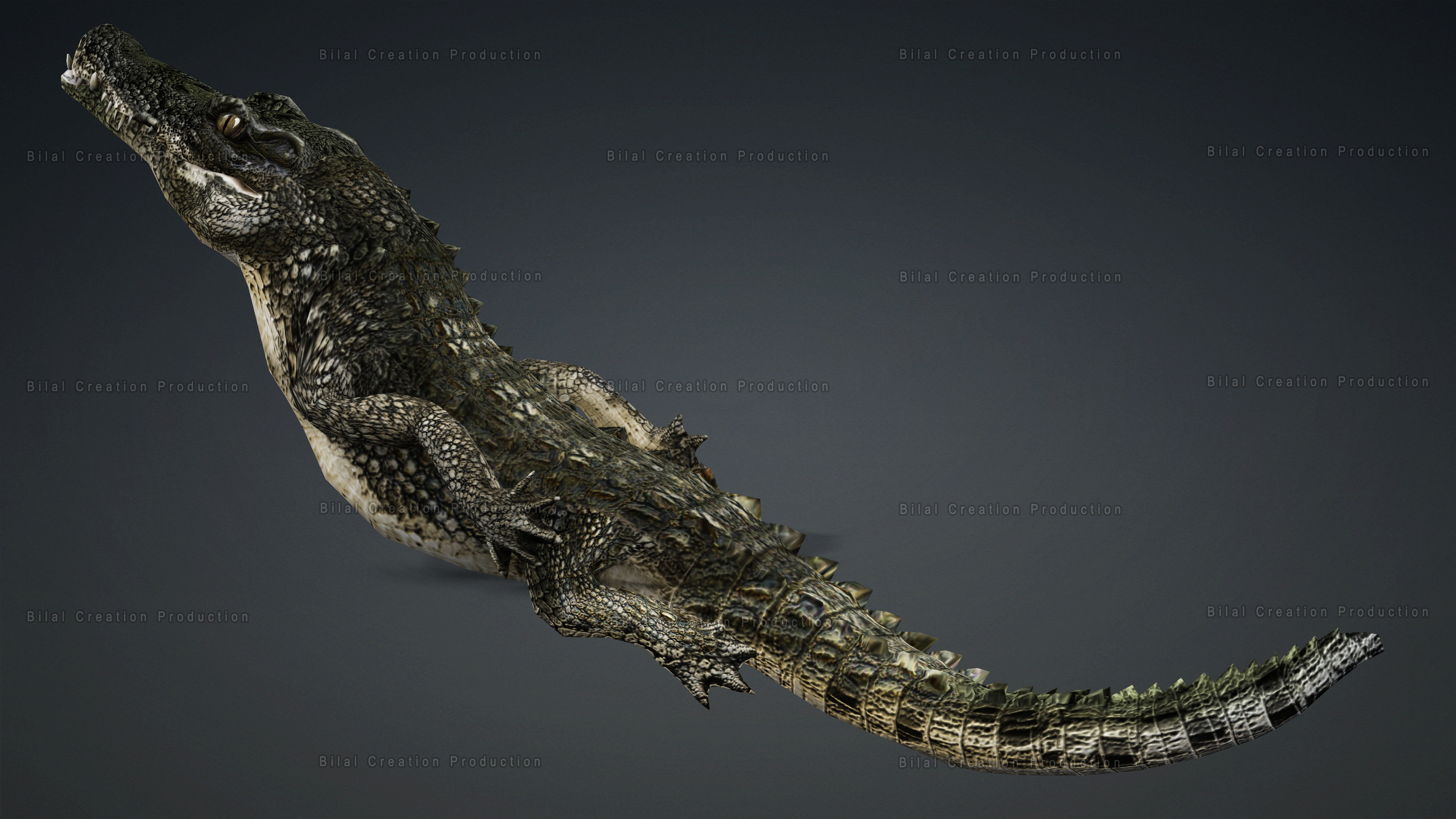 CROCODILE RIGGED ANIMATED 7 3D model_15