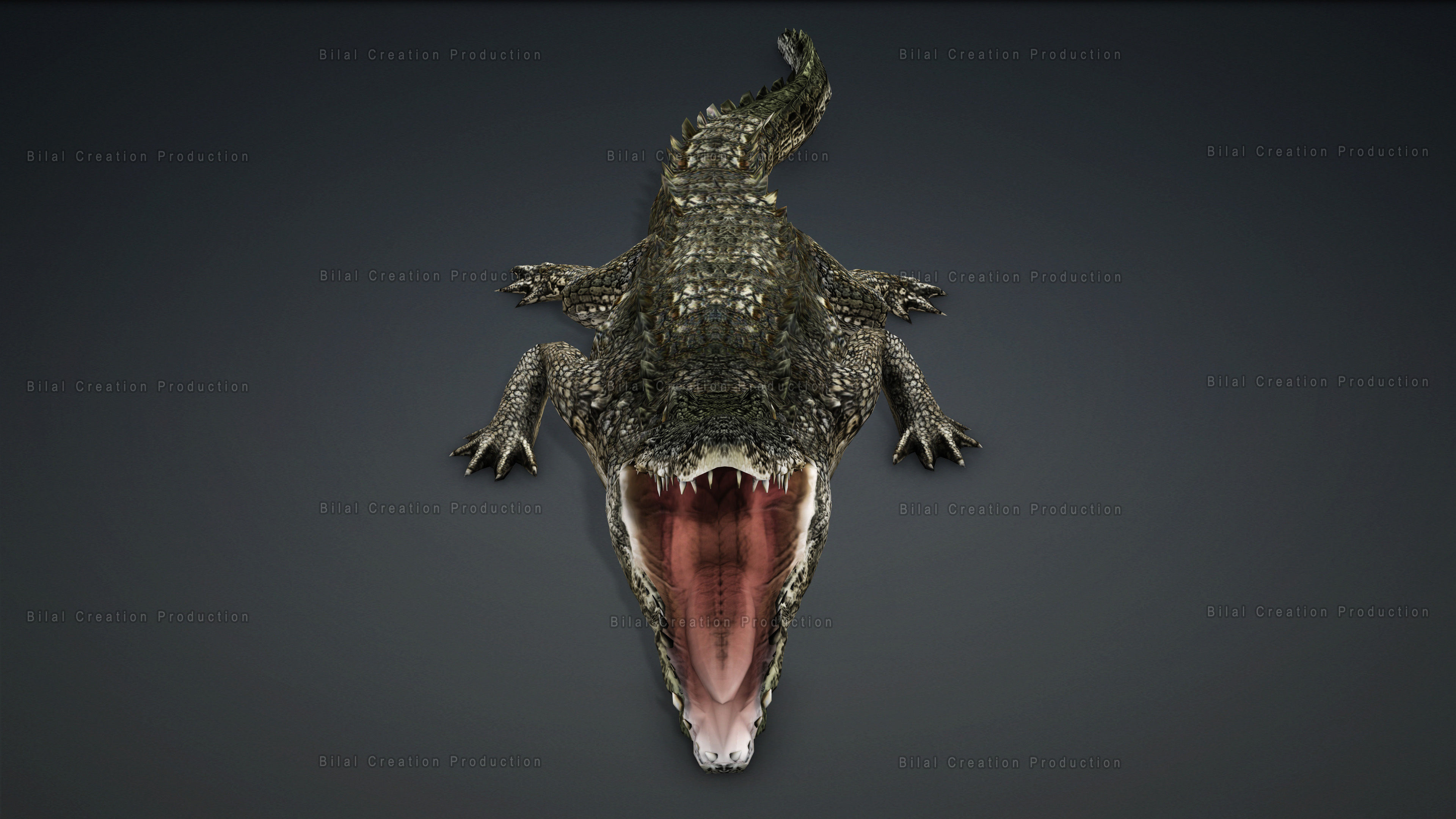 CROCODILE RIGGED ANIMATED 7 3D model_10