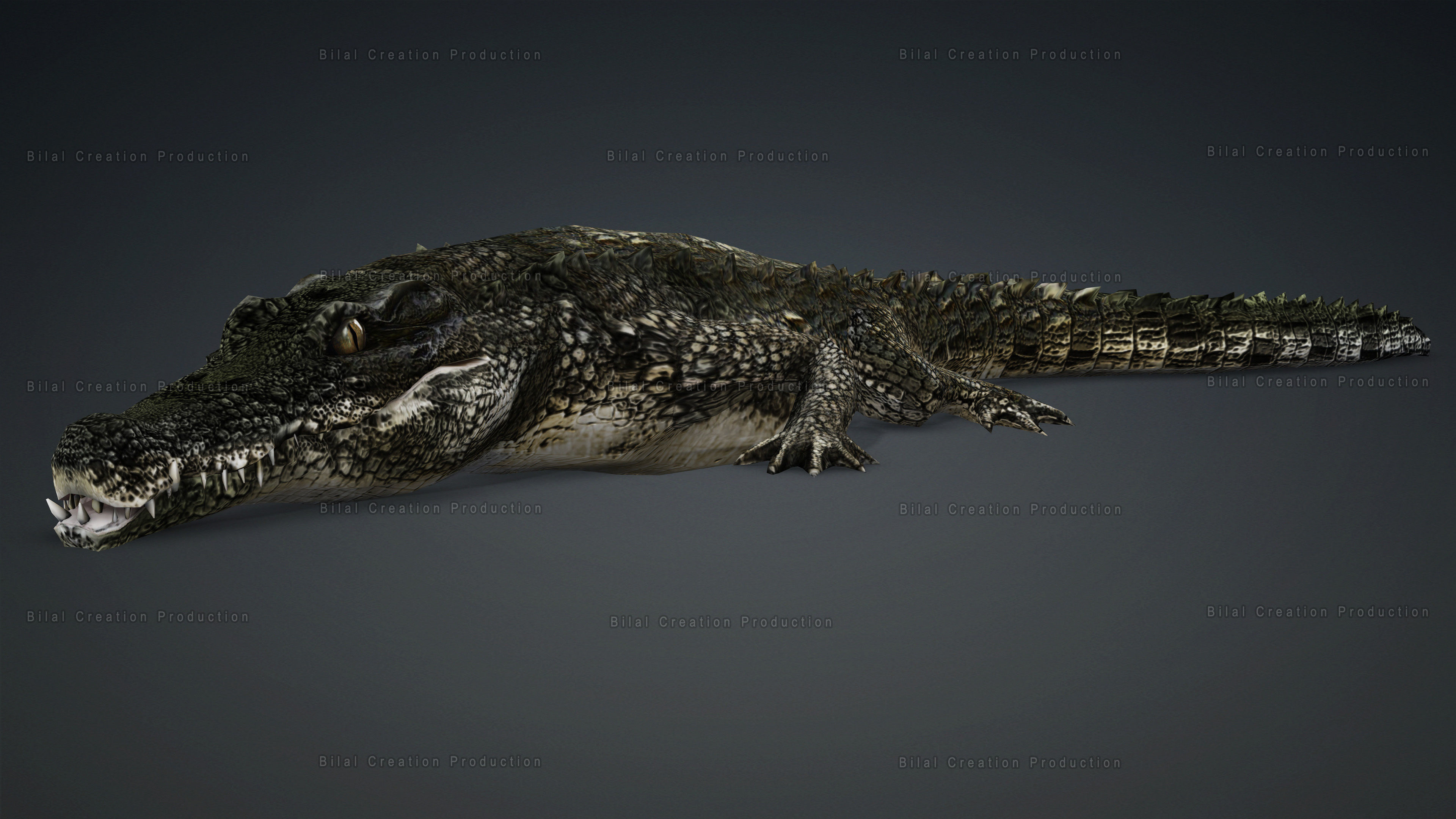 CROCODILE RIGGED ANIMATED 7 3D model_12