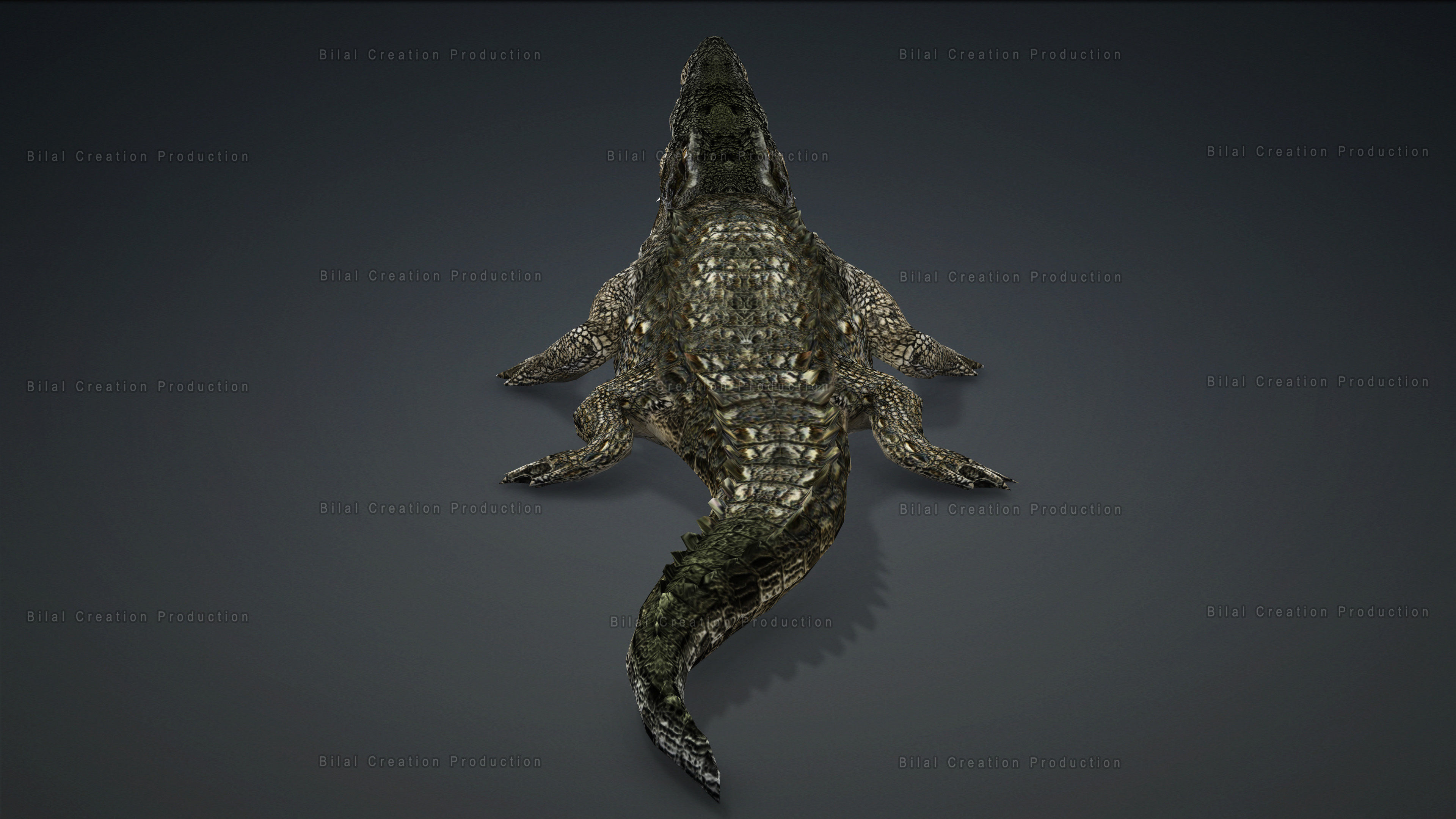 CROCODILE RIGGED ANIMATED 7 3D model_18