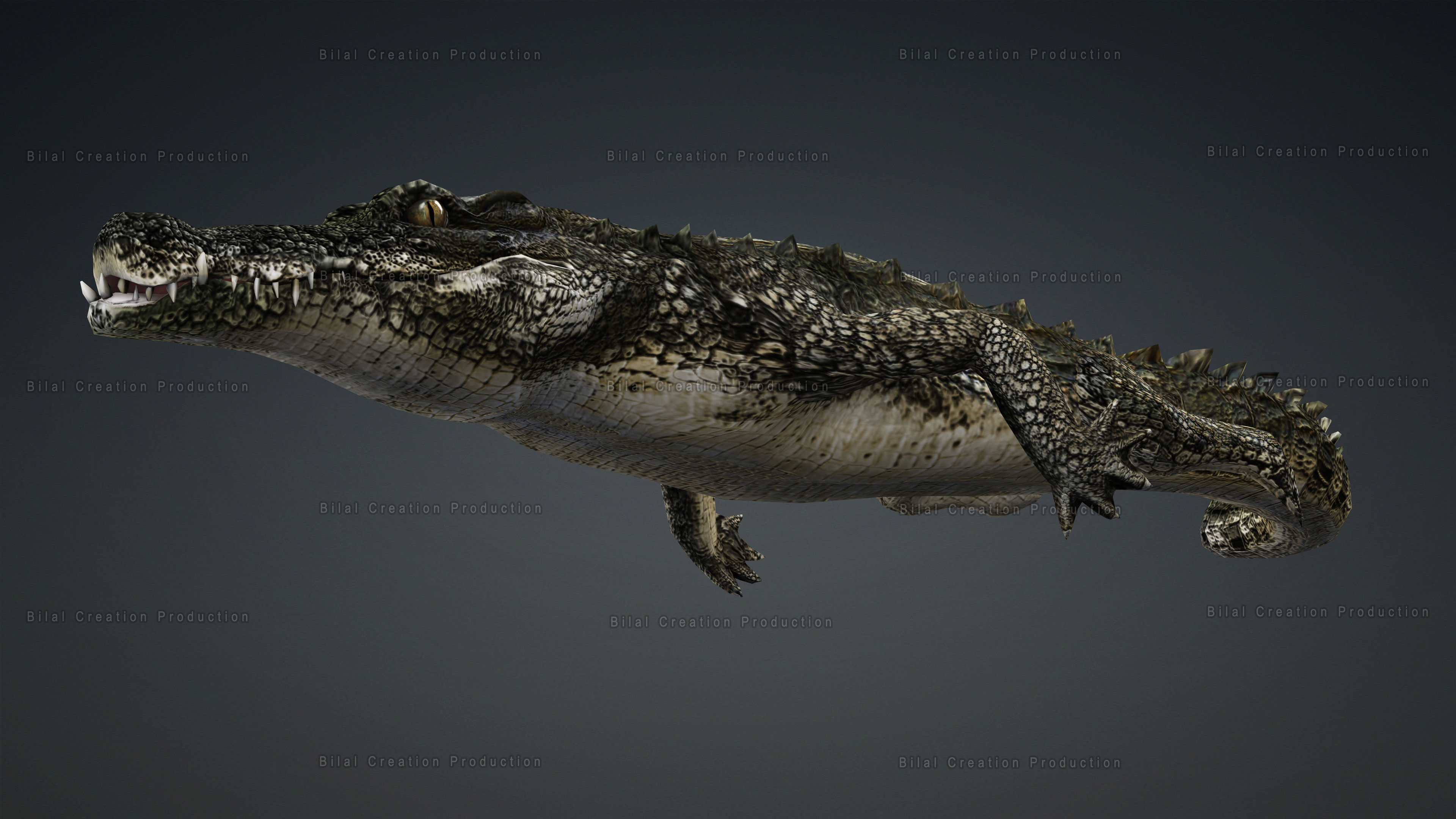 CROCODILE RIGGED ANIMATED 7 3D model_13