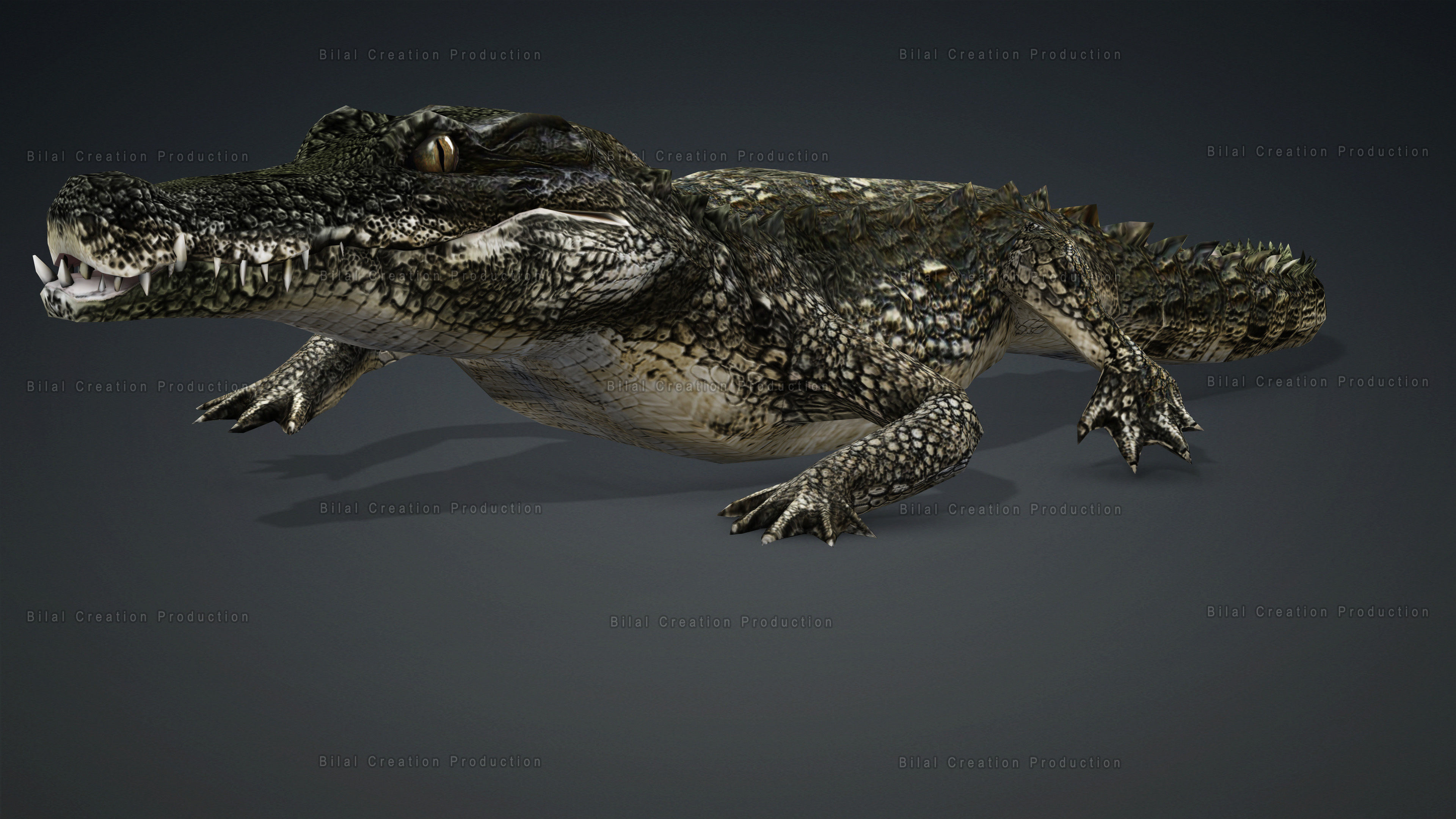 CROCODILE RIGGED ANIMATED 7 3D model_3