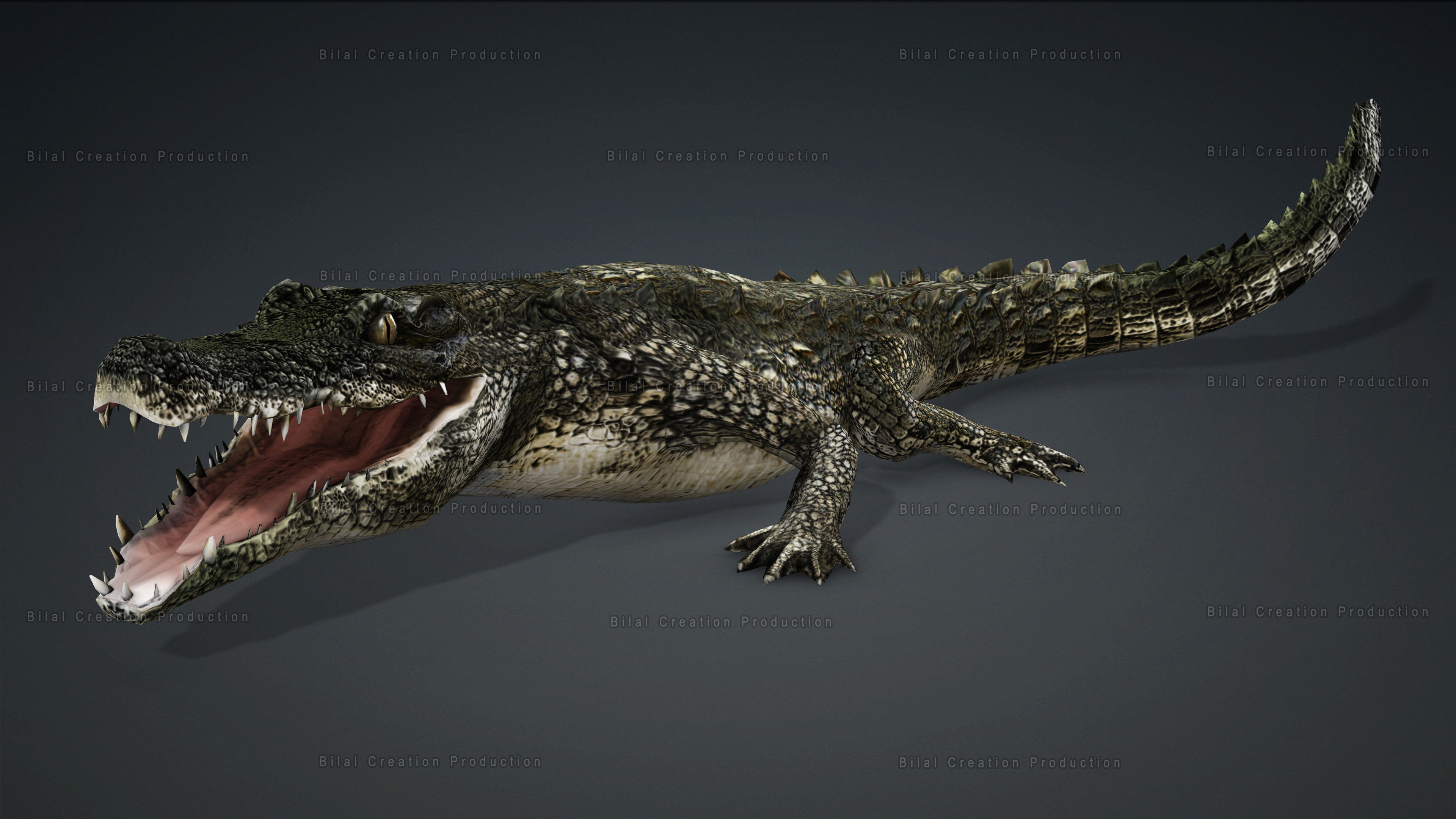 CROCODILE RIGGED ANIMATED 7 3D model_8