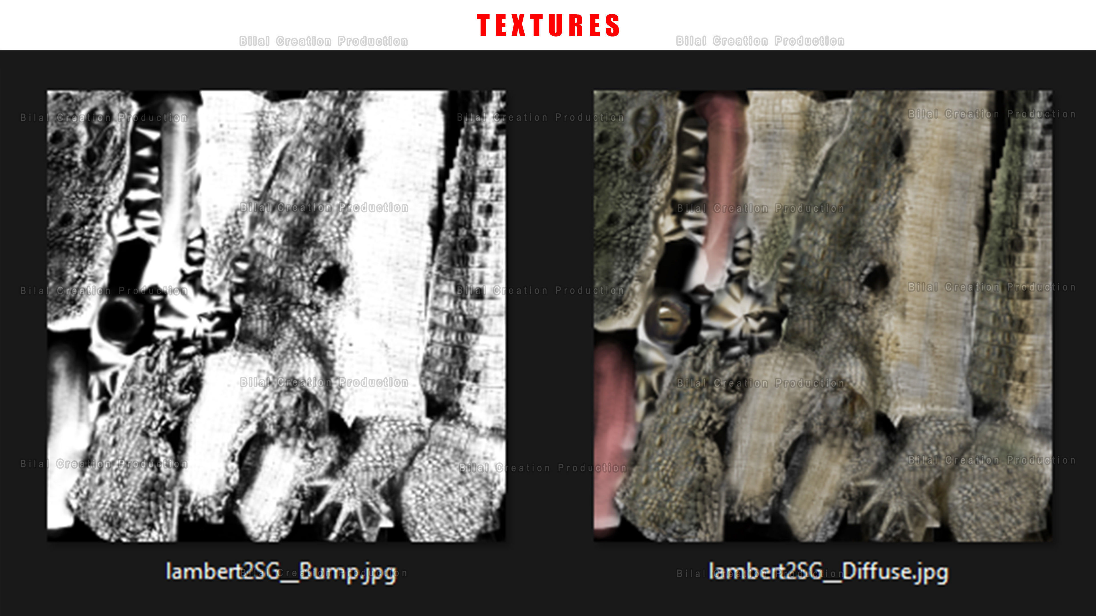 CROCODILE RIGGED ANIMATED 7 3D model_23