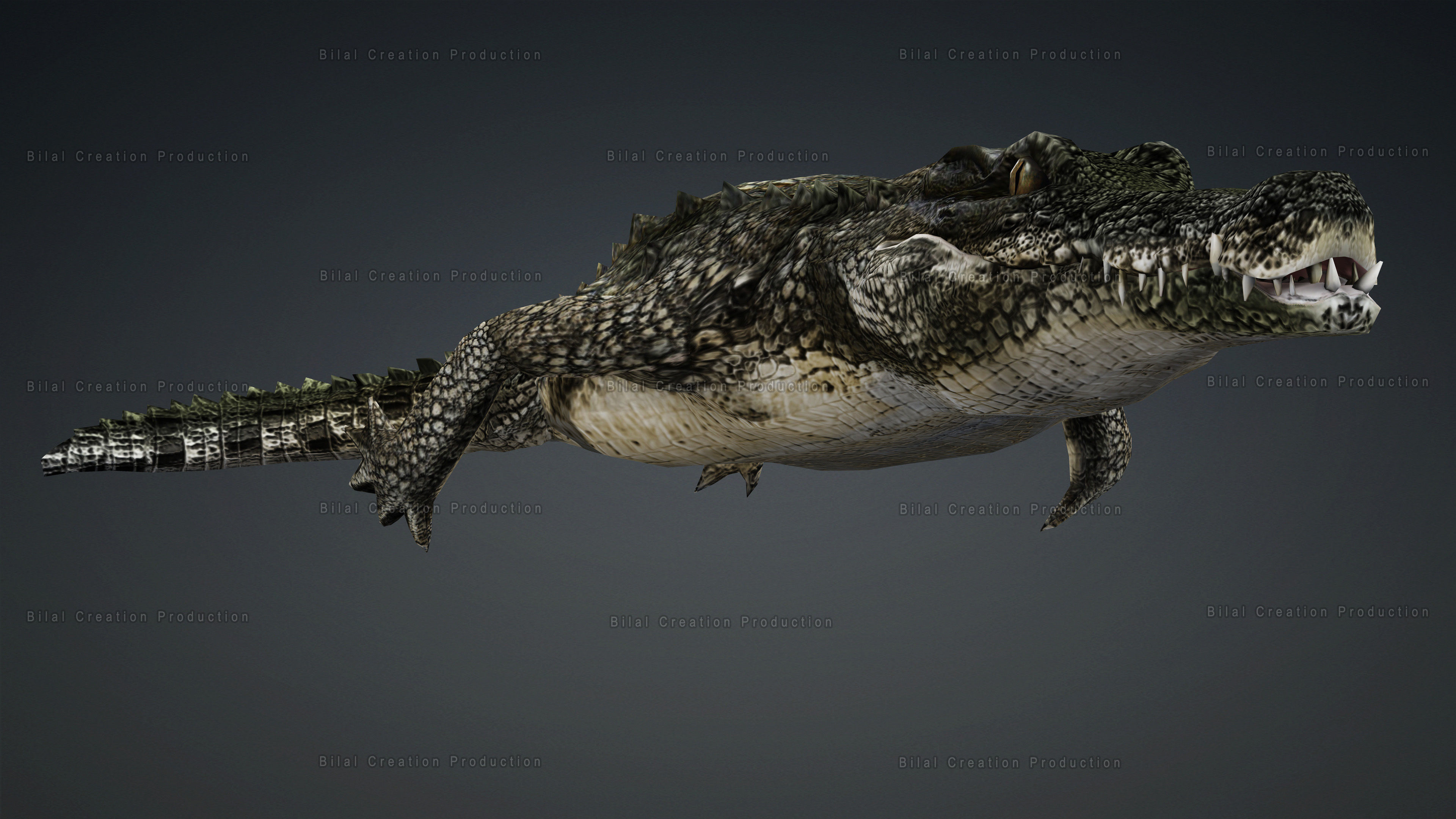 CROCODILE RIGGED ANIMATED 7 3D model_14