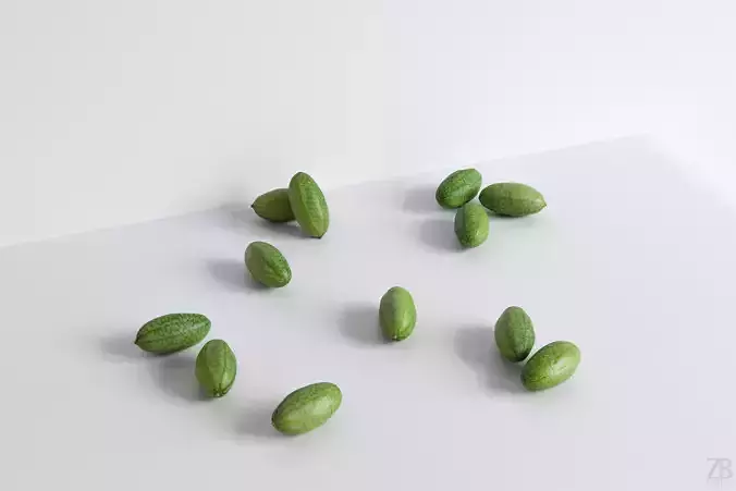 Cucamelon