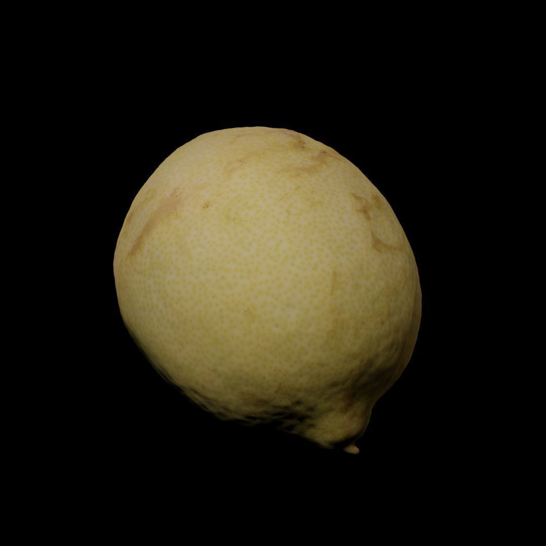Photogrammetric model of a lemon 3D model_6