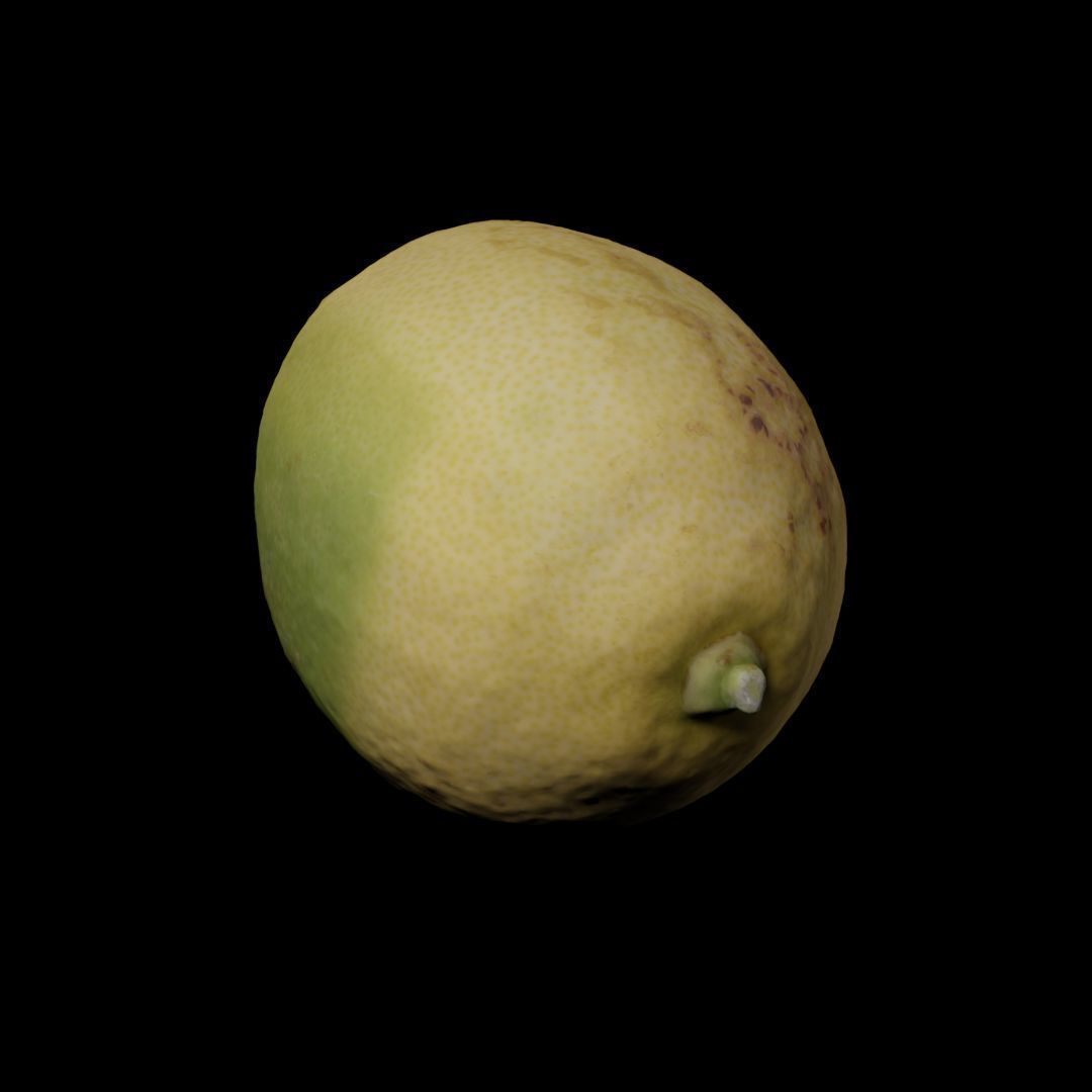 Photogrammetric model of a lemon 3D model_1
