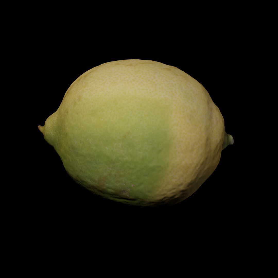 Photogrammetric model of a lemon 3D model_2