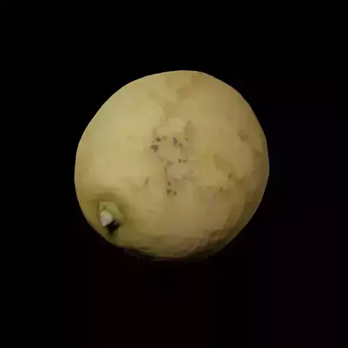 Photogrammetric model of a lemon