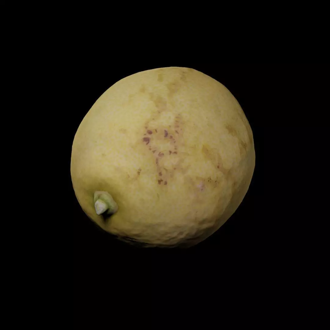 Photogrammetric model of a lemon 3D model_0