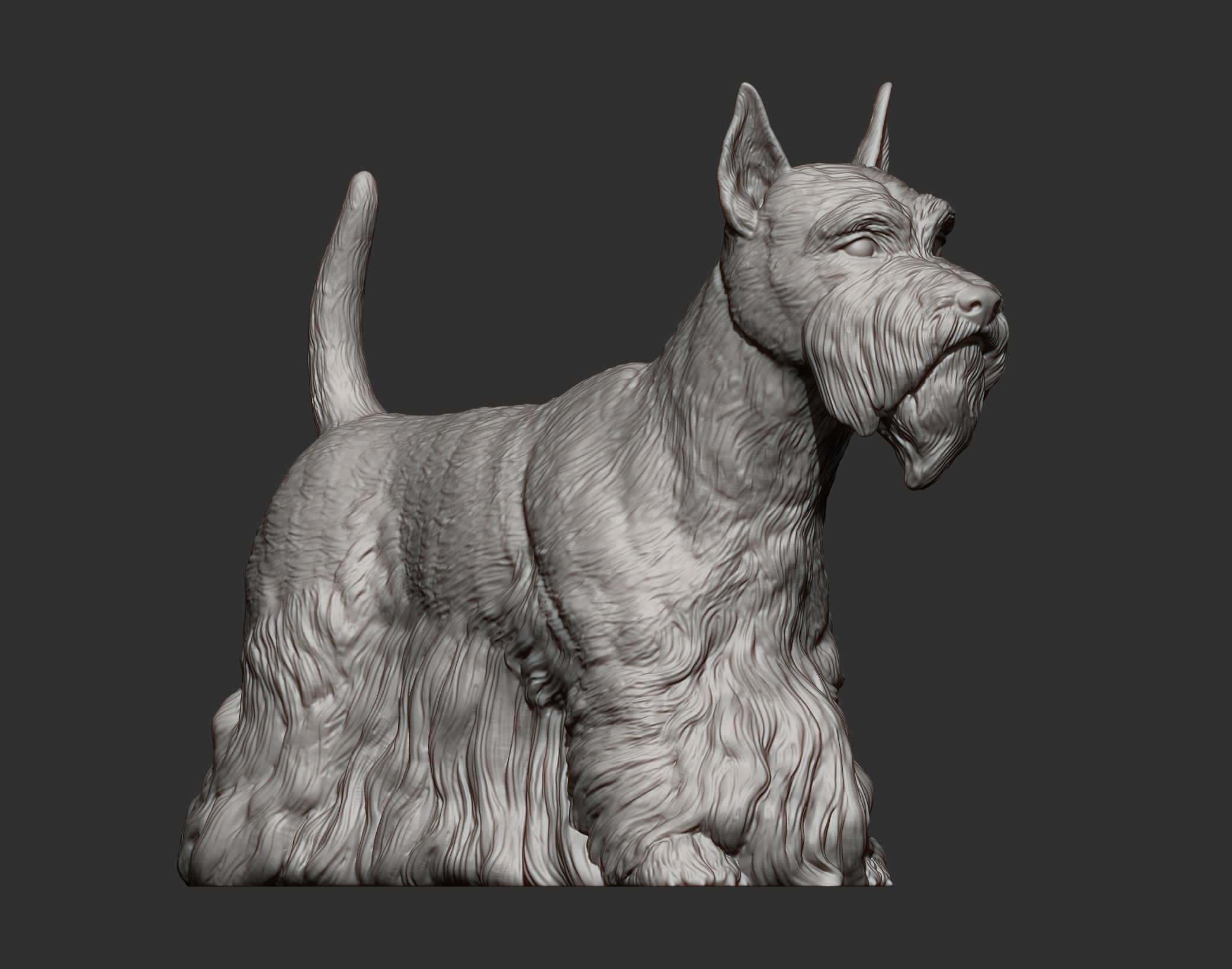 scottish terrier 3D print model_10