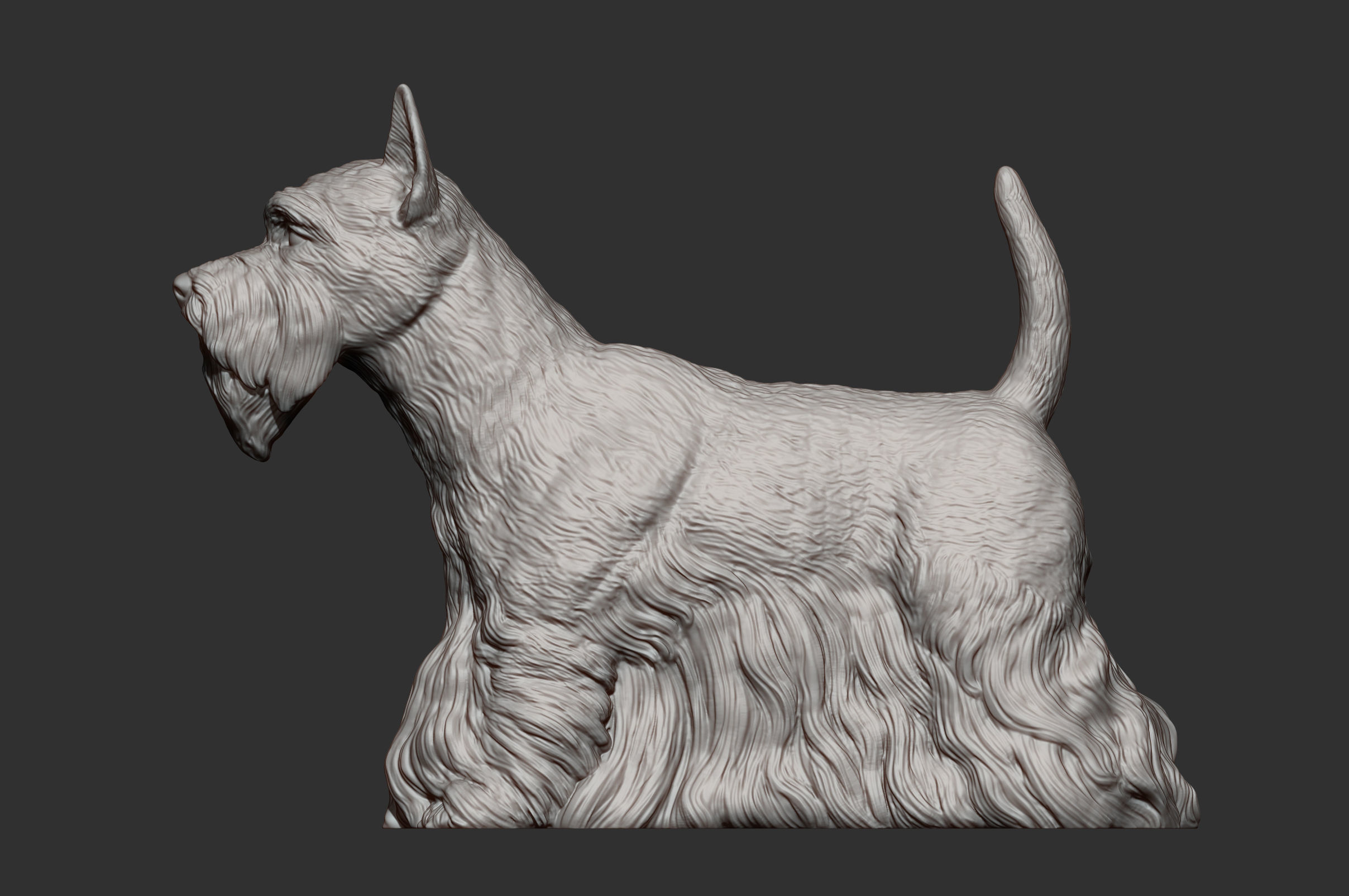scottish terrier 3D print model_8