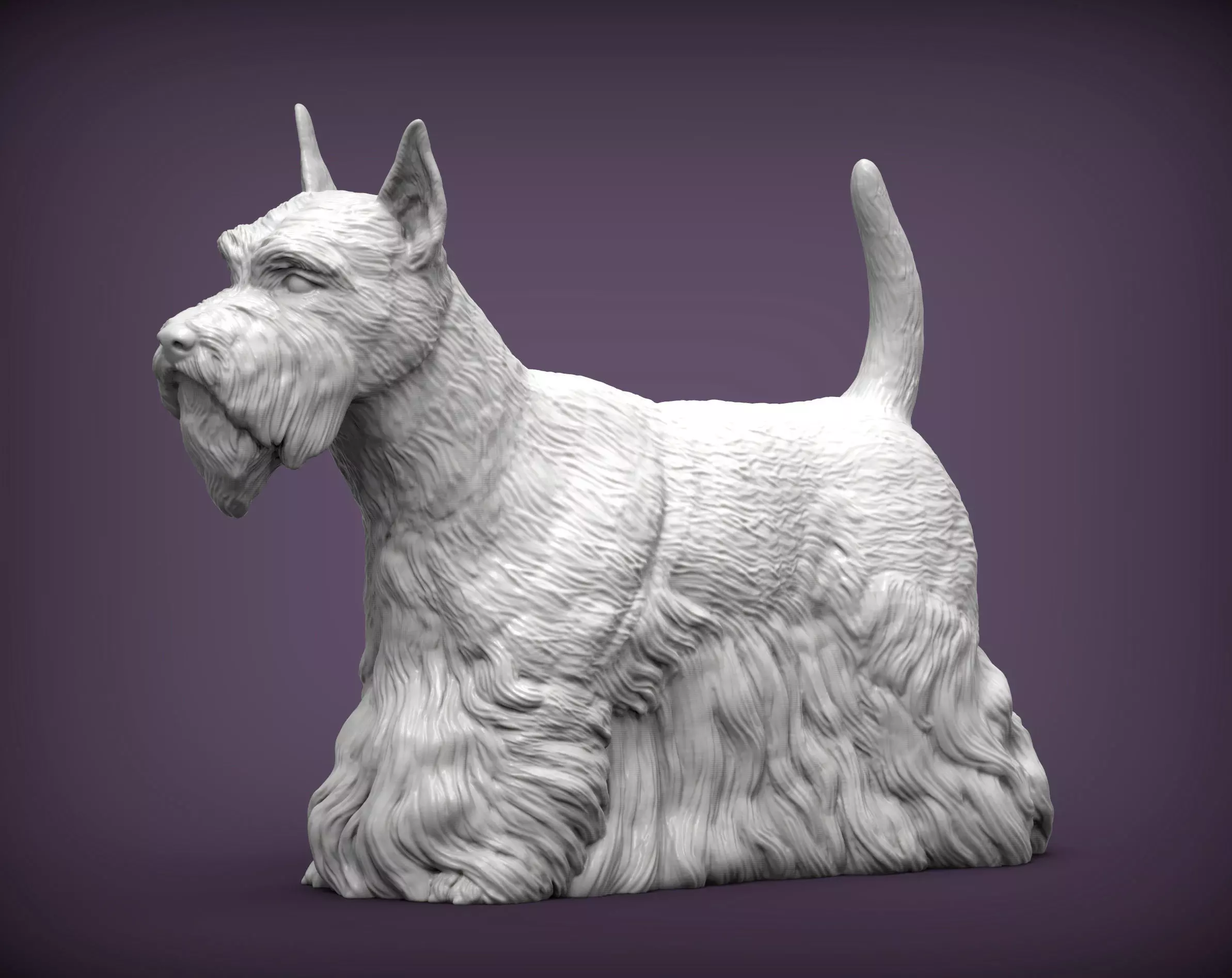 scottish terrier 3D print model_0