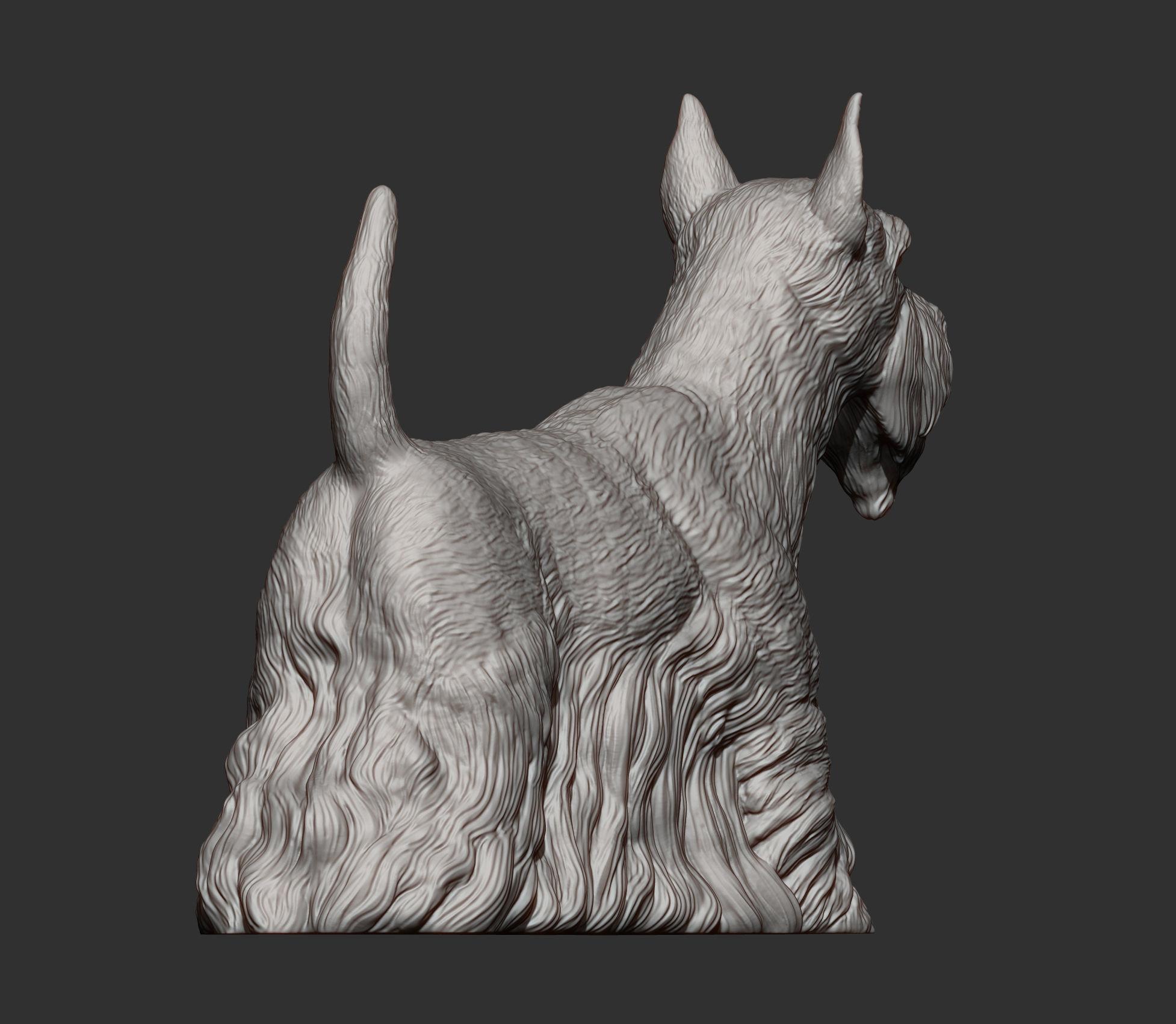 scottish terrier 3D print model_9