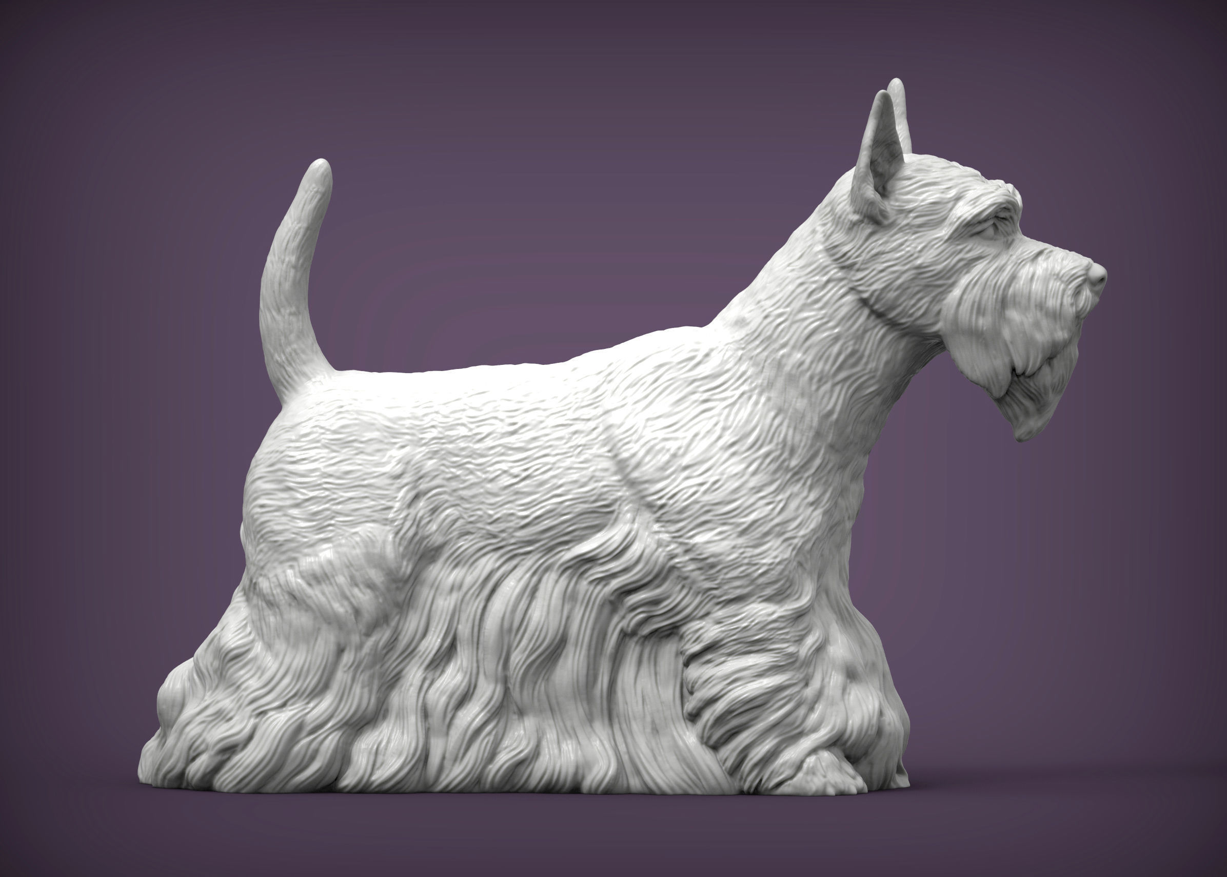scottish terrier 3D print model_5