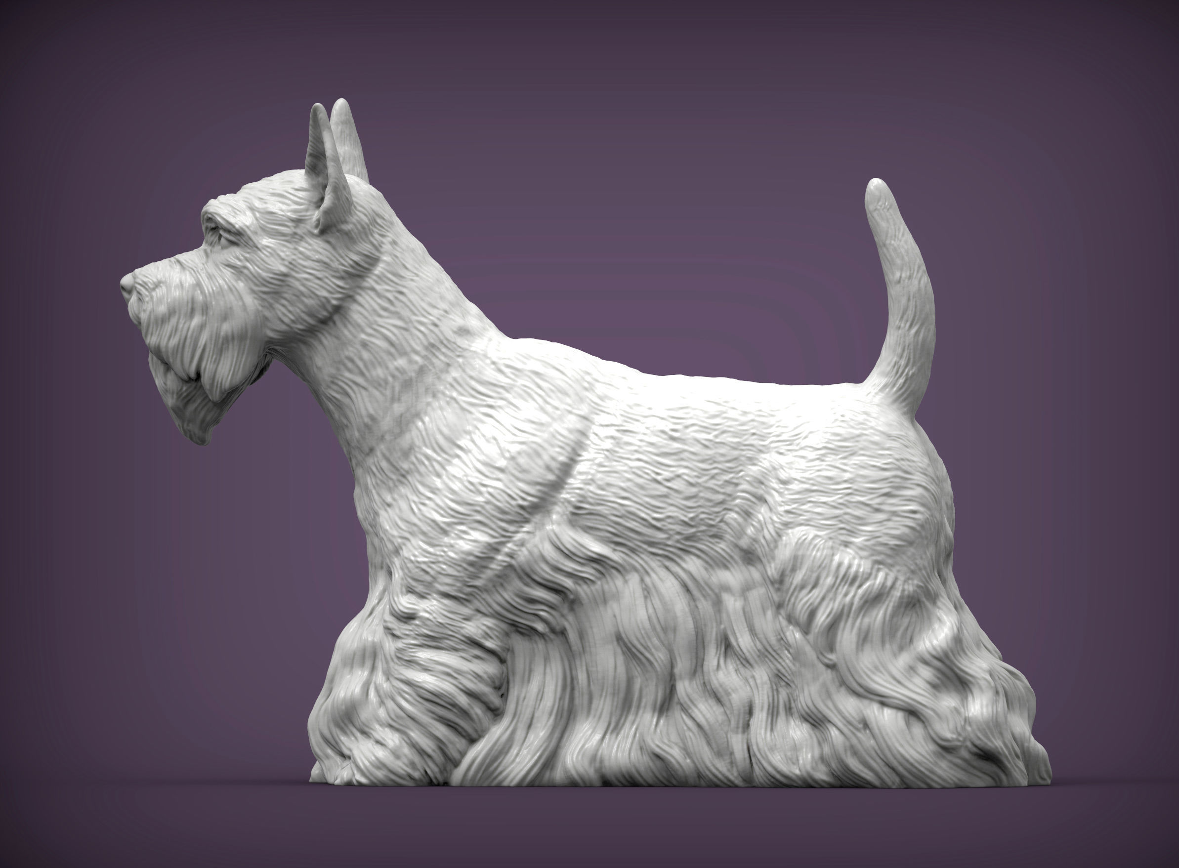 scottish terrier 3D print model_2