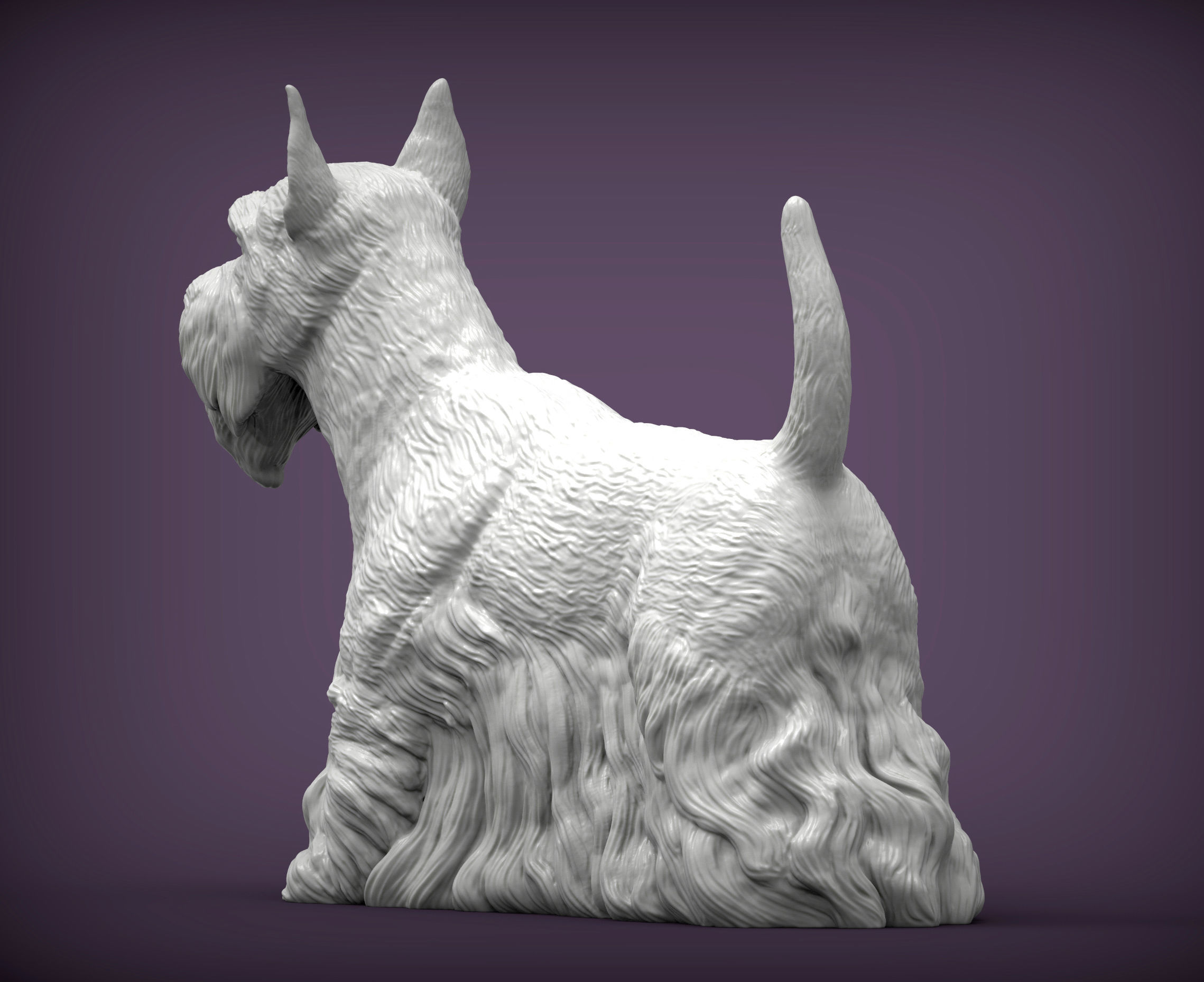 scottish terrier 3D print model_4