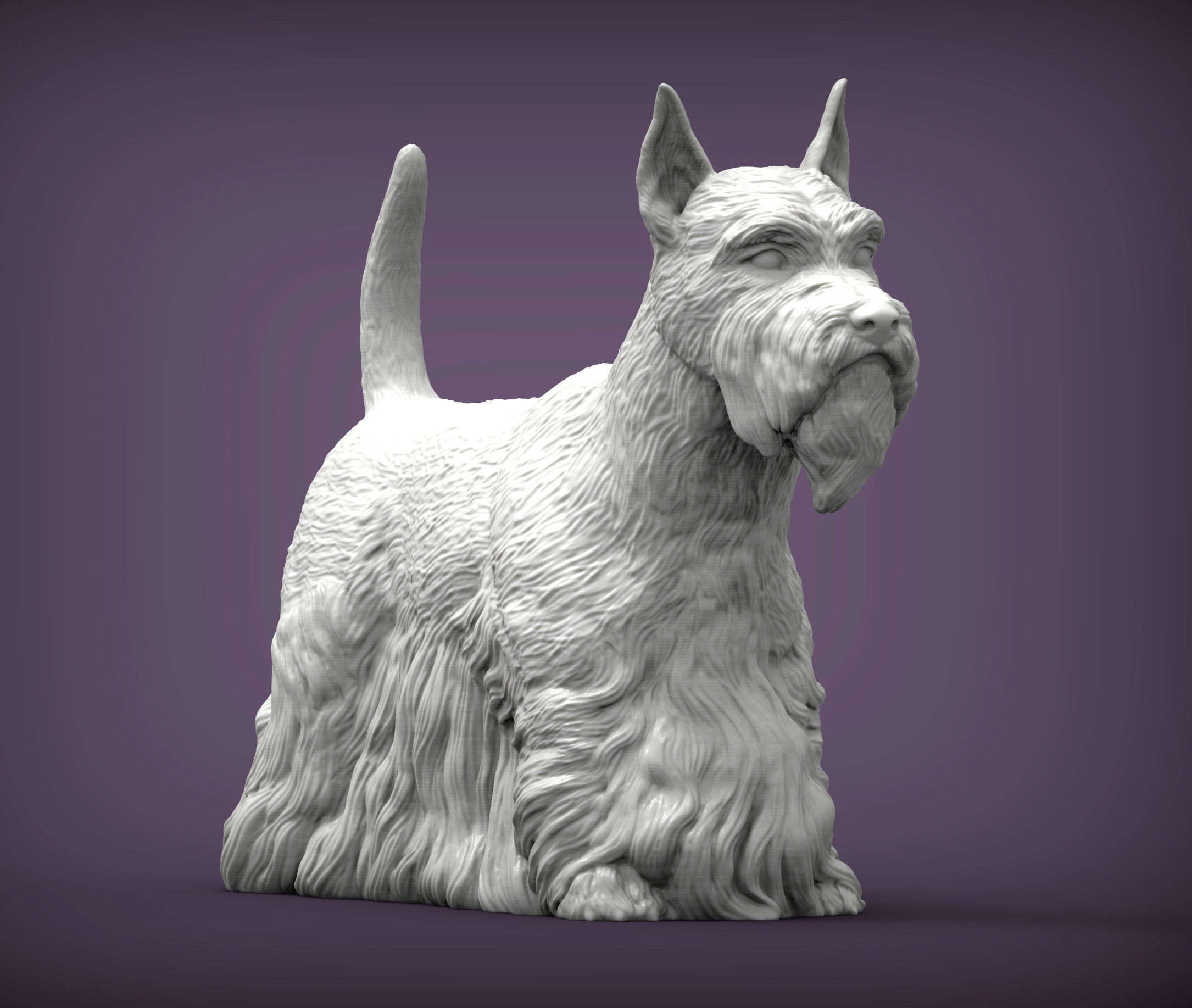 scottish terrier 3D print model_3