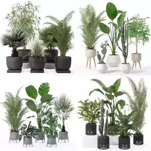 20 Photorealistic Flowers for Interiors - set 119 135 130 134 3D Model Collection
