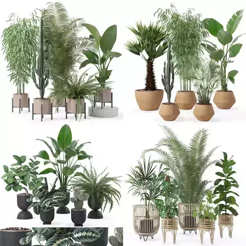 20 Photorealistic Flowers for Interiors - set 124 129 136 137 3D Model Collection