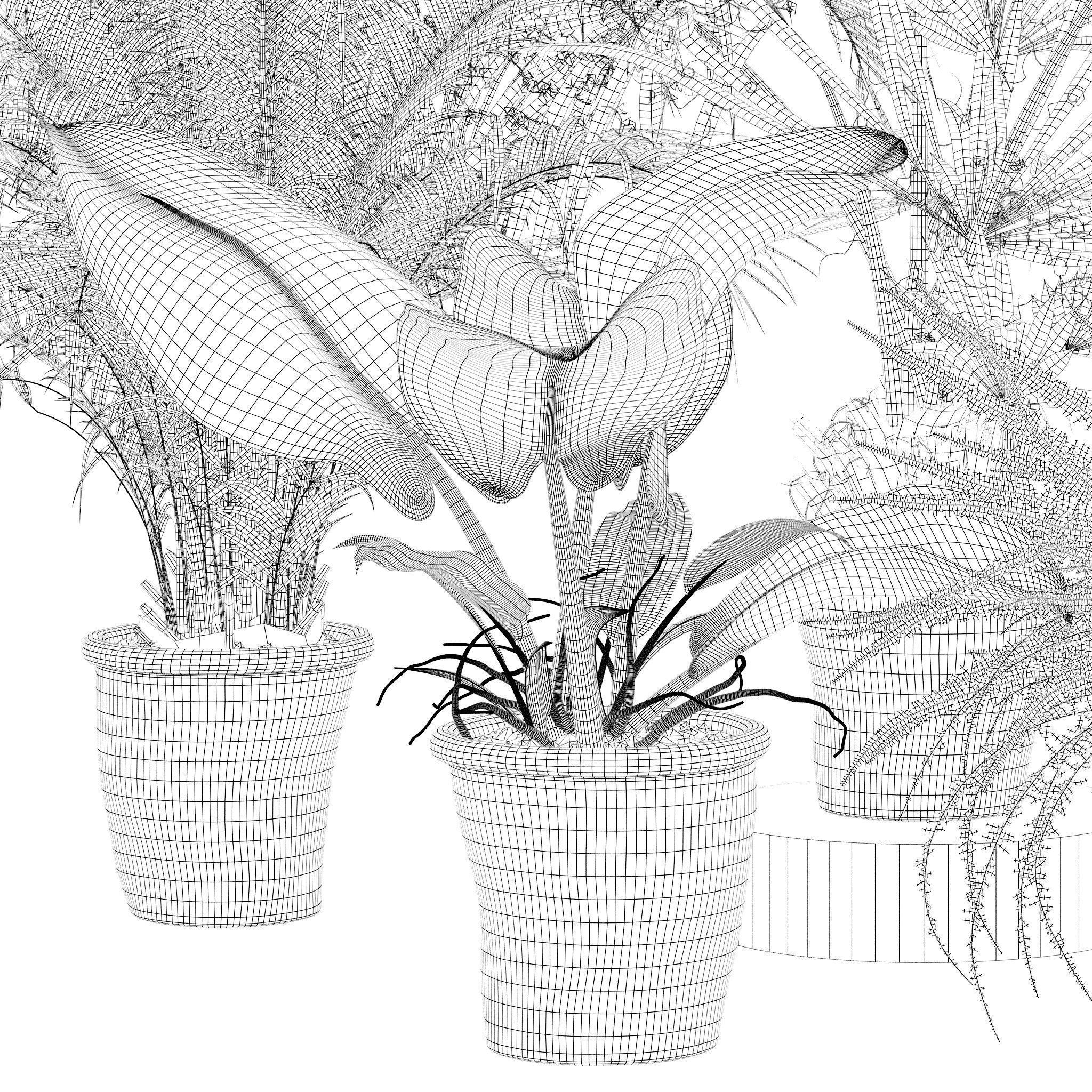 20 Photorealistic Flowers for Interiors - set 126 131 140 139 3D Model Collection_55