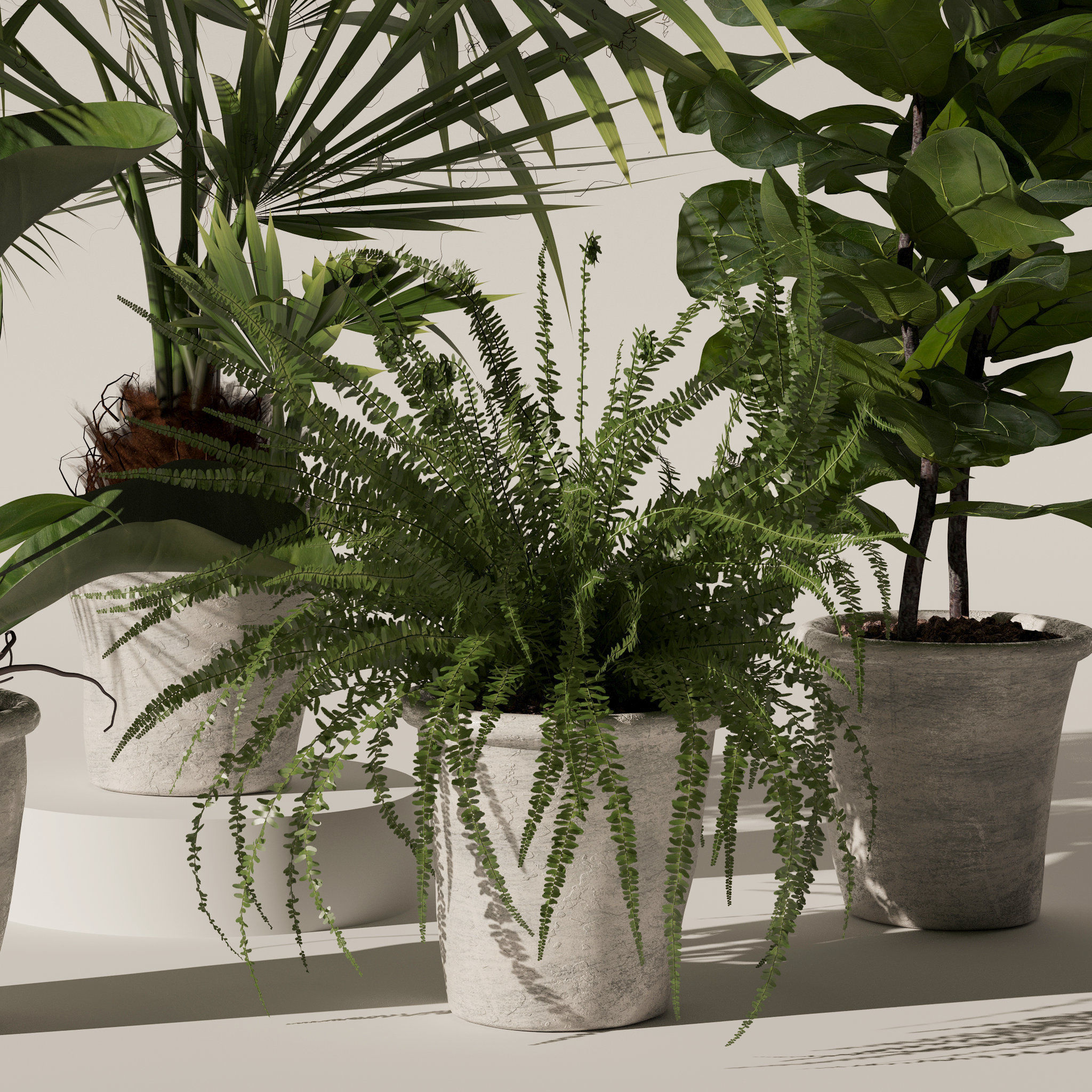 20 Photorealistic Flowers for Interiors - set 126 131 140 139 3D Model Collection_54