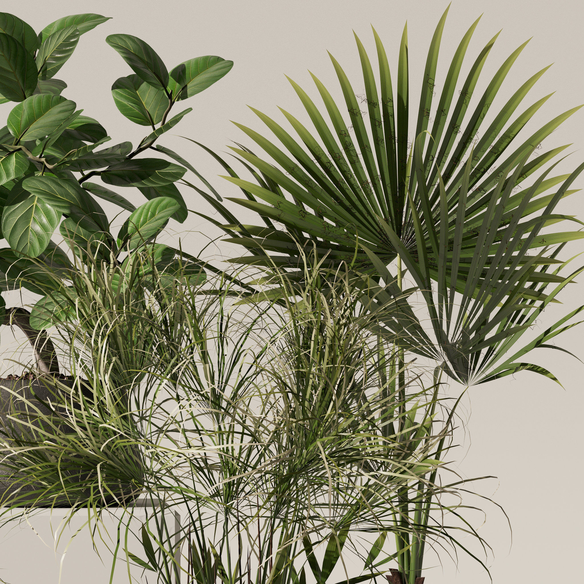 20 Photorealistic Flowers for Interiors - set 126 131 140 139 3D Model Collection_26