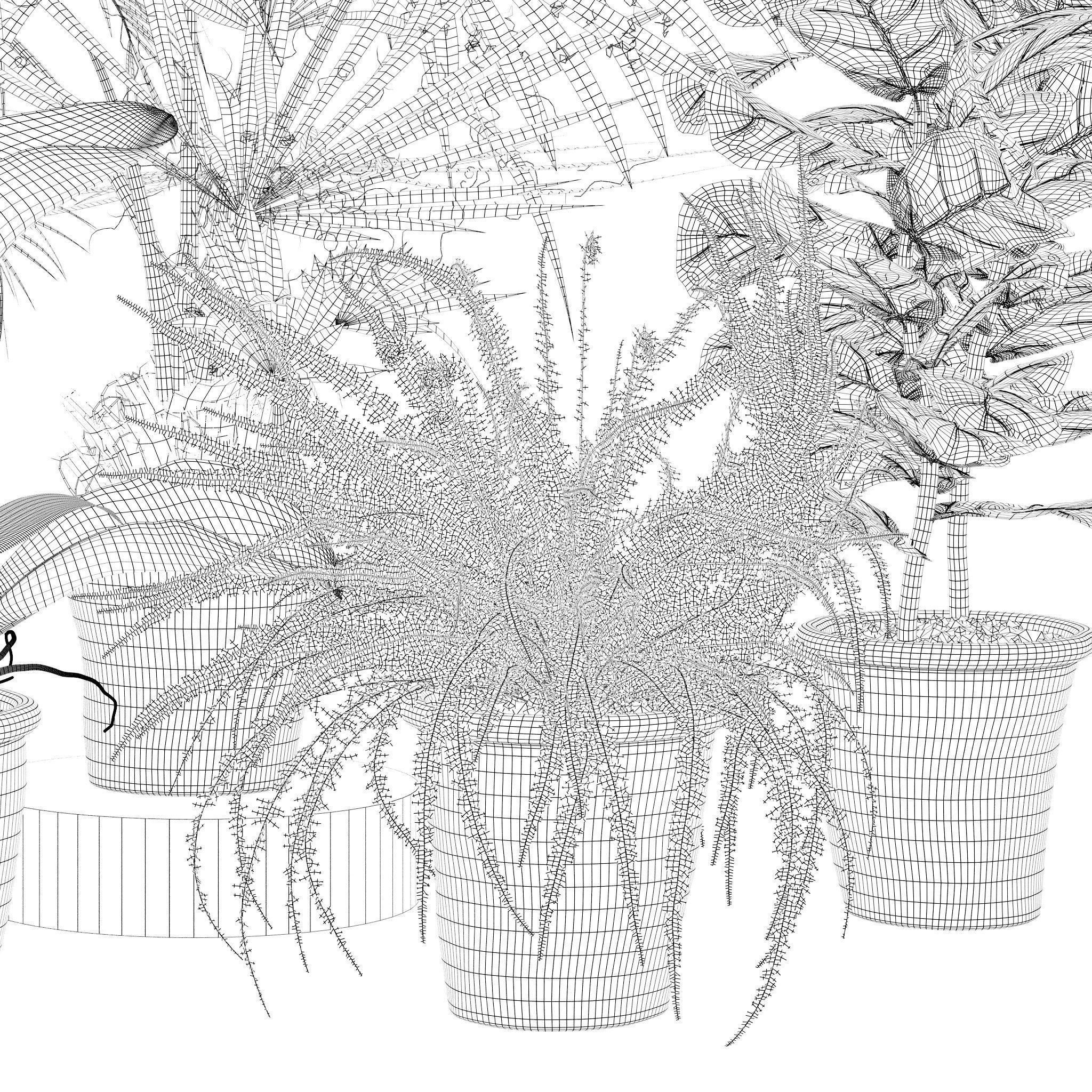 20 Photorealistic Flowers for Interiors - set 126 131 140 139 3D Model Collection_45