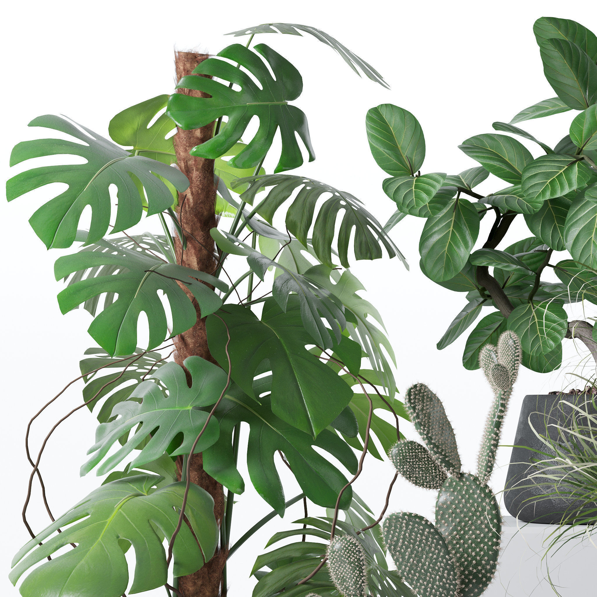 20 Photorealistic Flowers for Interiors - set 126 131 140 139 3D Model Collection_16