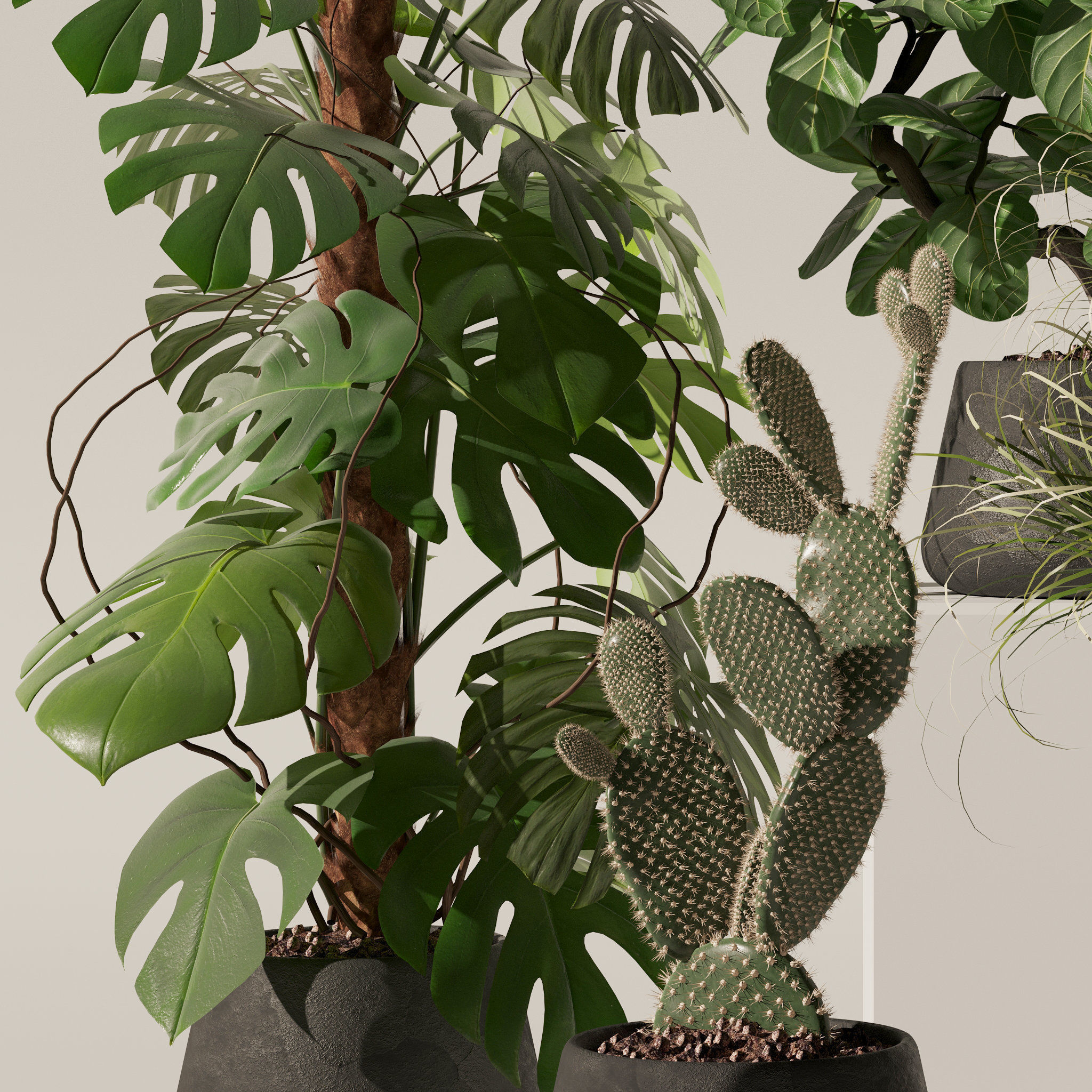 20 Photorealistic Flowers for Interiors - set 126 131 140 139 3D Model Collection_21