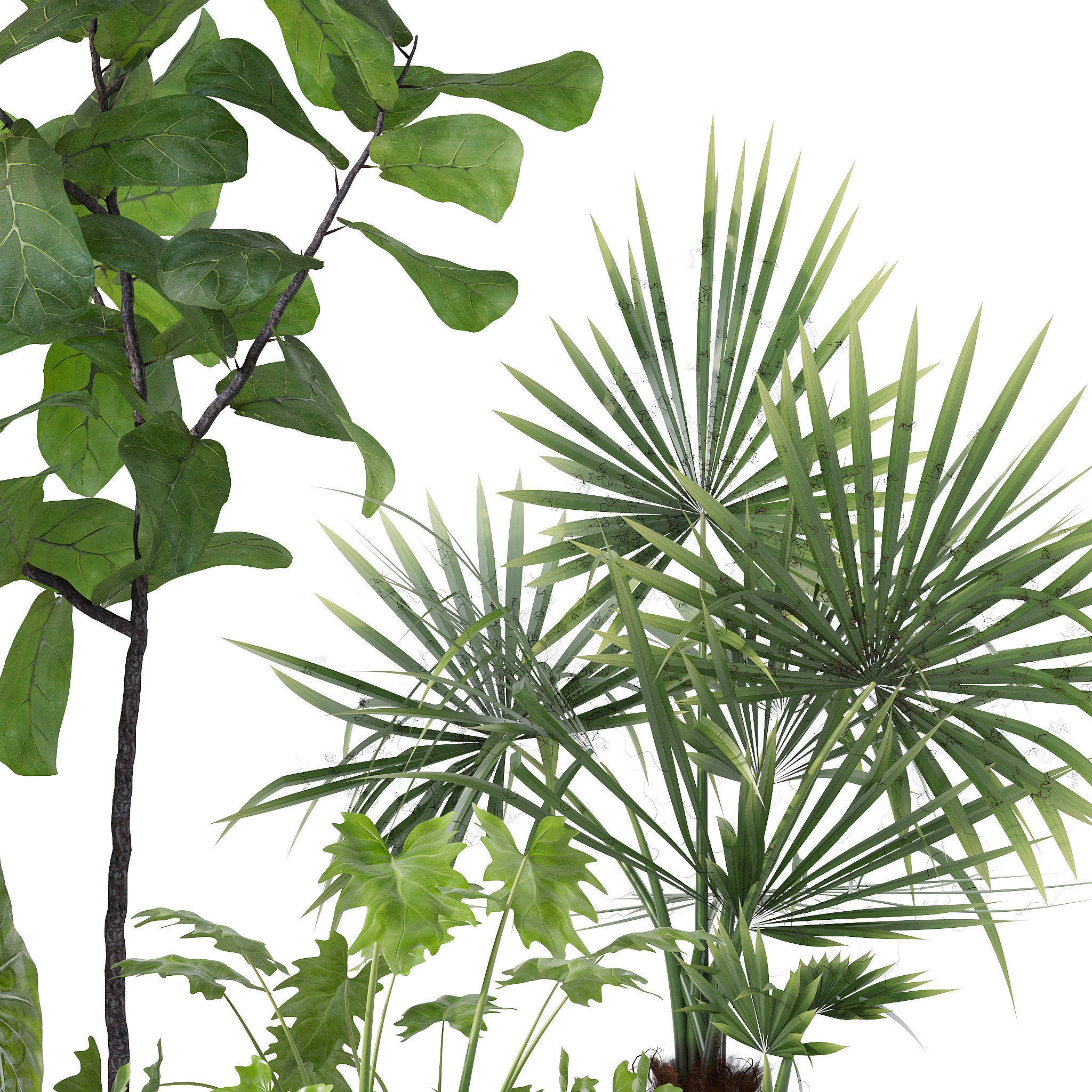 20 Photorealistic Flowers for Interiors - set 126 131 140 139 3D Model Collection_11