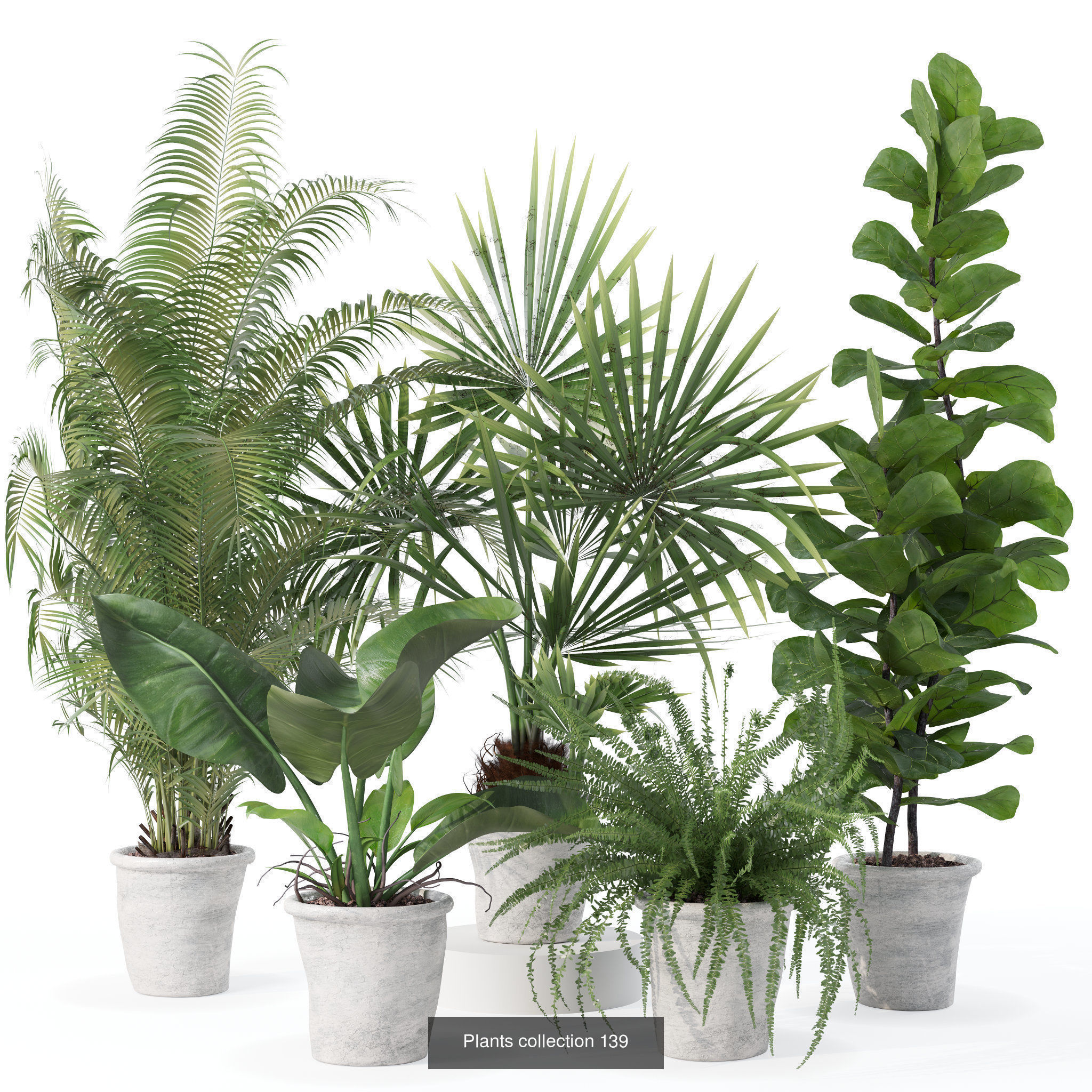 20 Photorealistic Flowers for Interiors - set 126 131 140 139 3D Model Collection_3