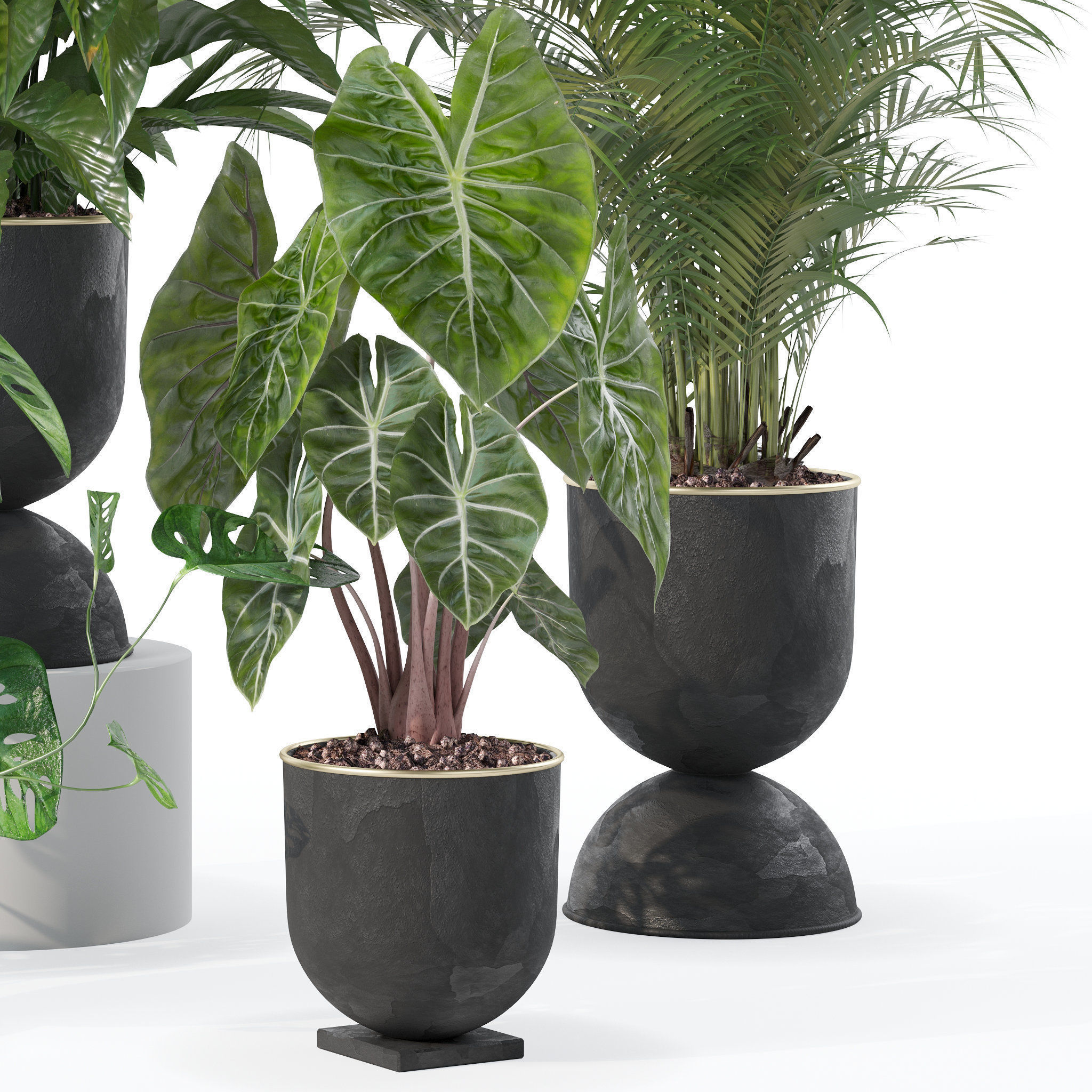 20 Photorealistic Flowers for Interiors - set 126 131 140 139 3D Model Collection_29