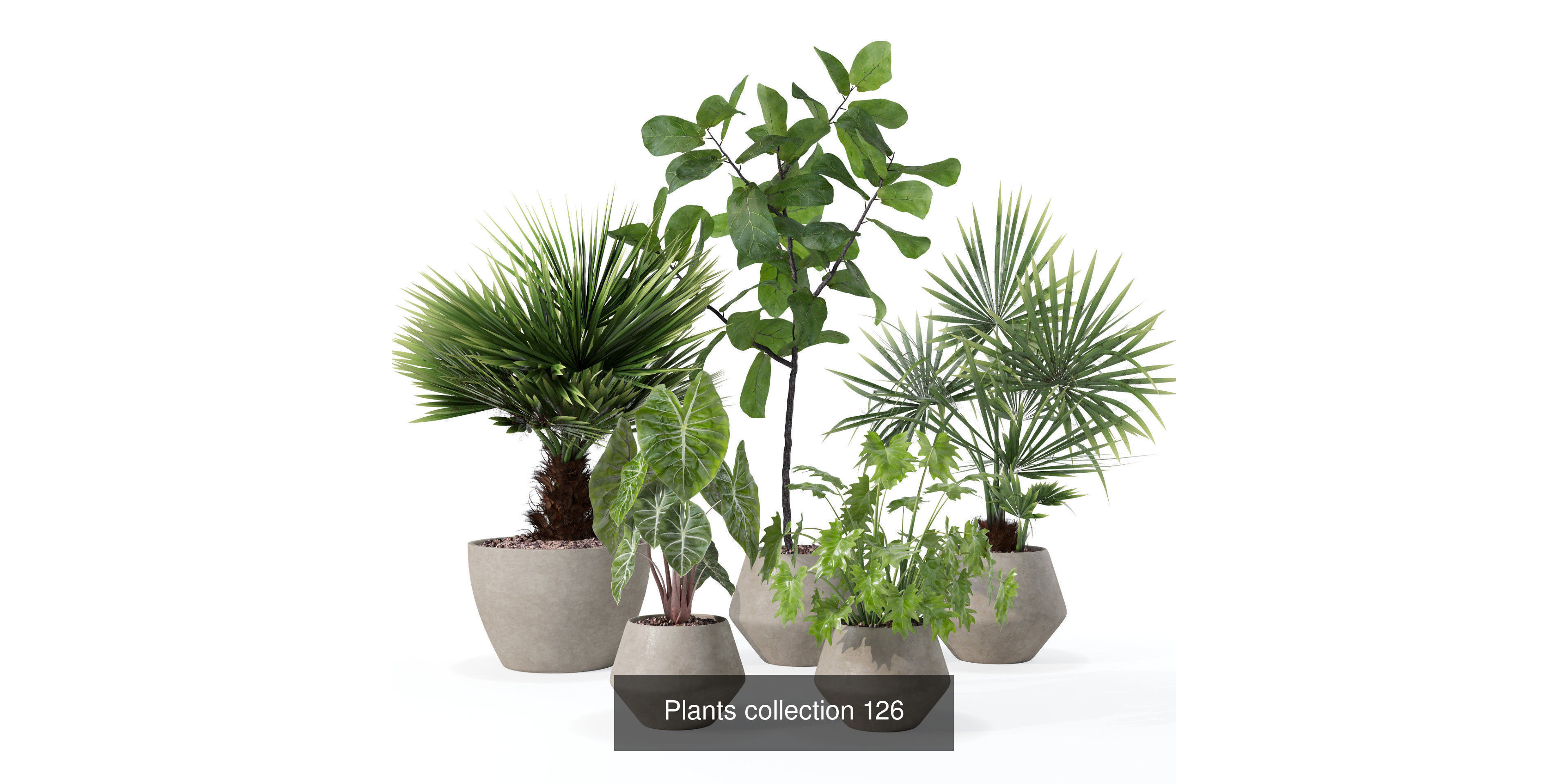 20 Photorealistic Flowers for Interiors - set 126 131 140 139 3D Model Collection_1