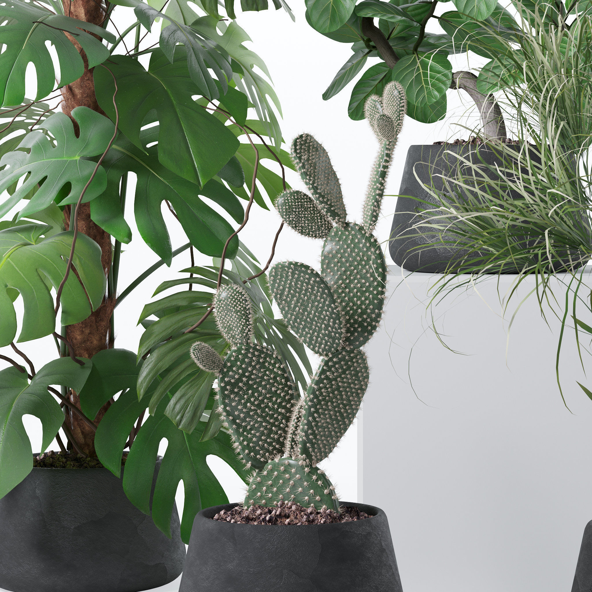 20 Photorealistic Flowers for Interiors - set 126 131 140 139 3D Model Collection_15