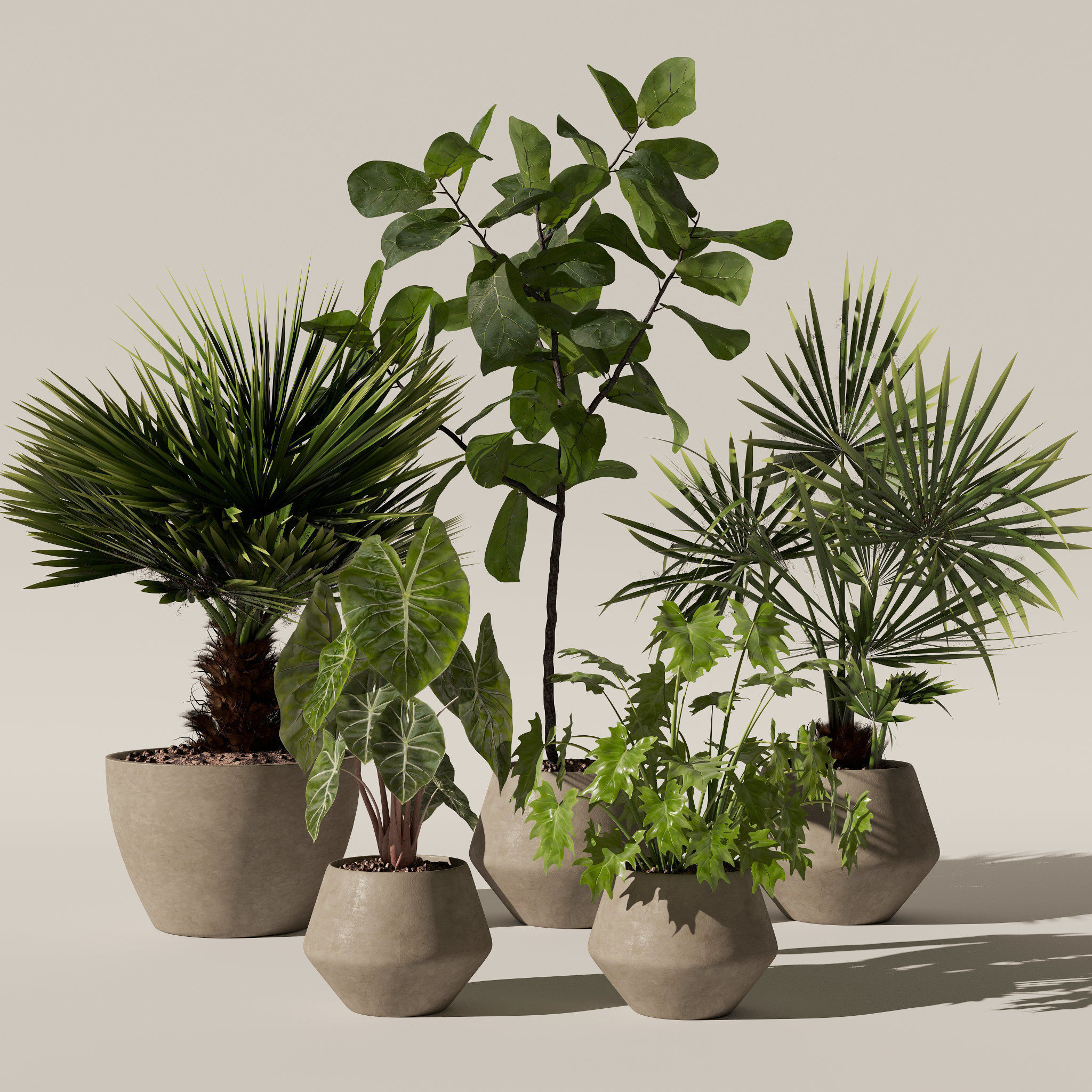 20 Photorealistic Flowers for Interiors - set 126 131 140 139 3D Model Collection_10