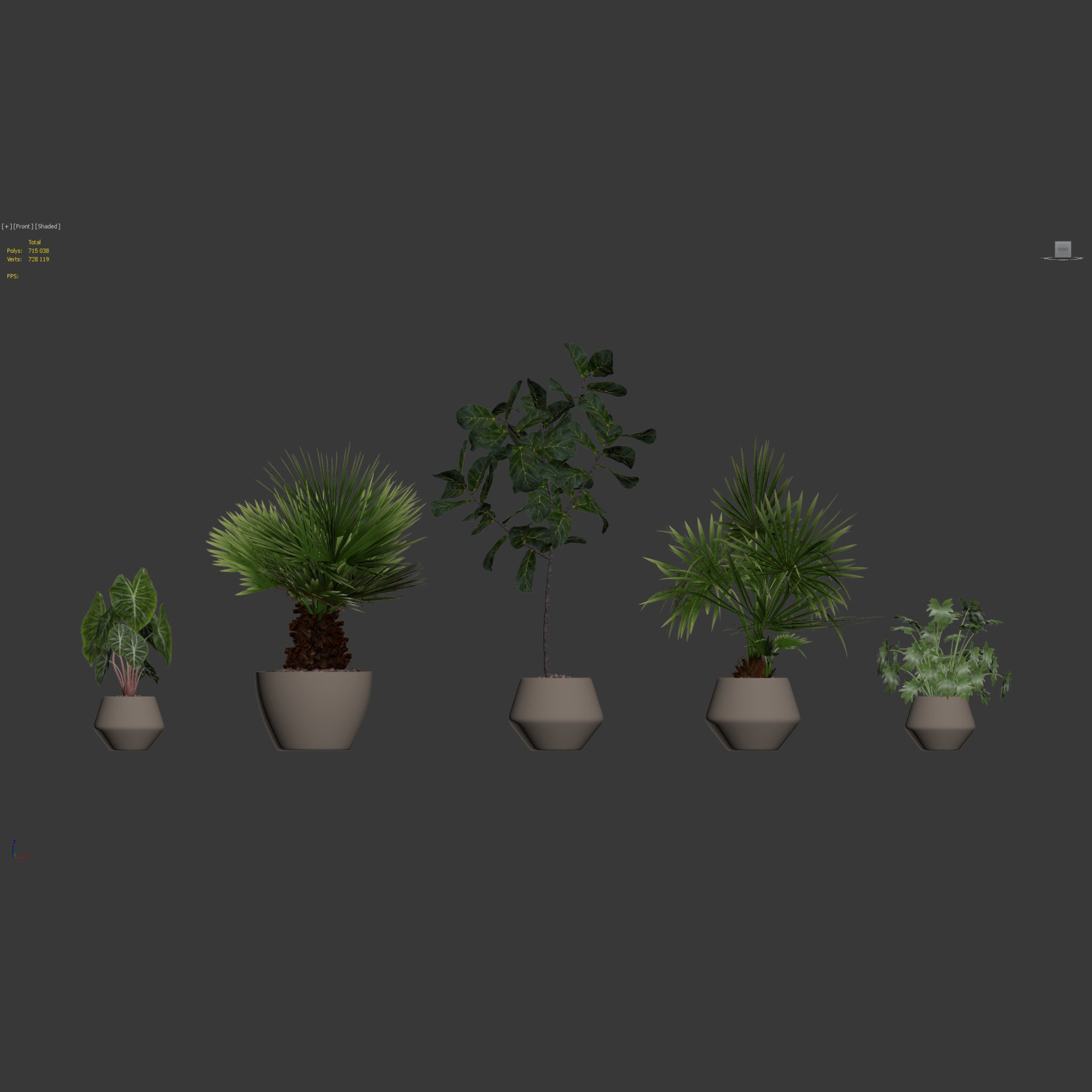 20 Photorealistic Flowers for Interiors - set 126 131 140 139 3D Model Collection_6