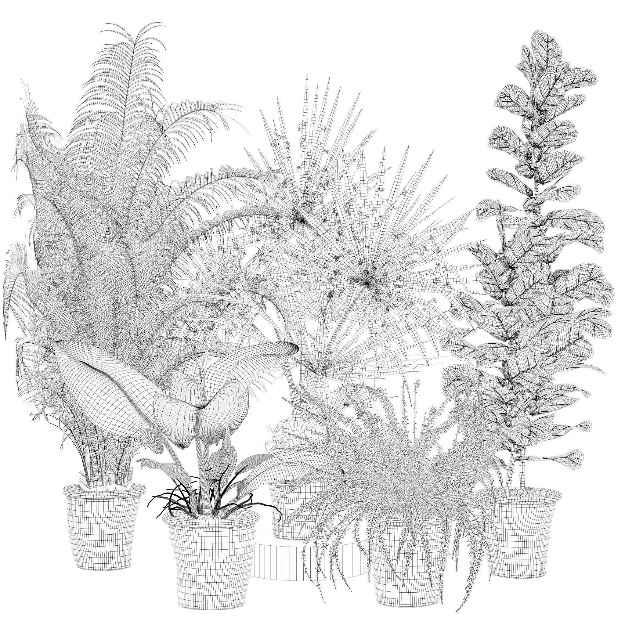 20 Photorealistic Flowers for Interiors - set 126 131 140 139 3D Model Collection_50