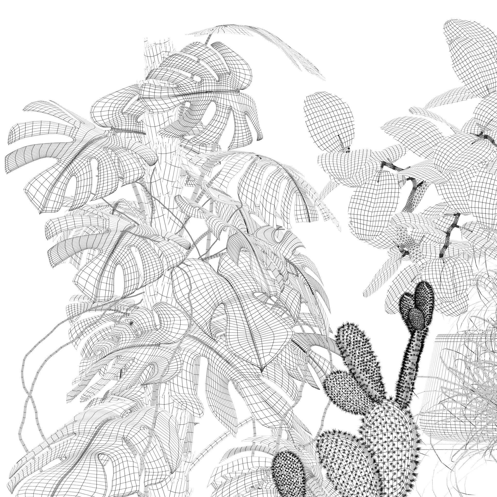 20 Photorealistic Flowers for Interiors - set 126 131 140 139 3D Model Collection_17