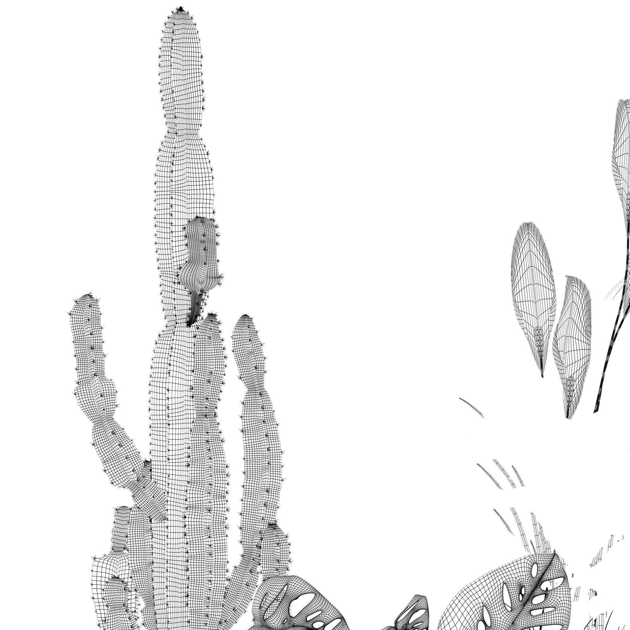 20 Photorealistic Flowers for Interiors - set 126 131 140 139 3D Model Collection_35