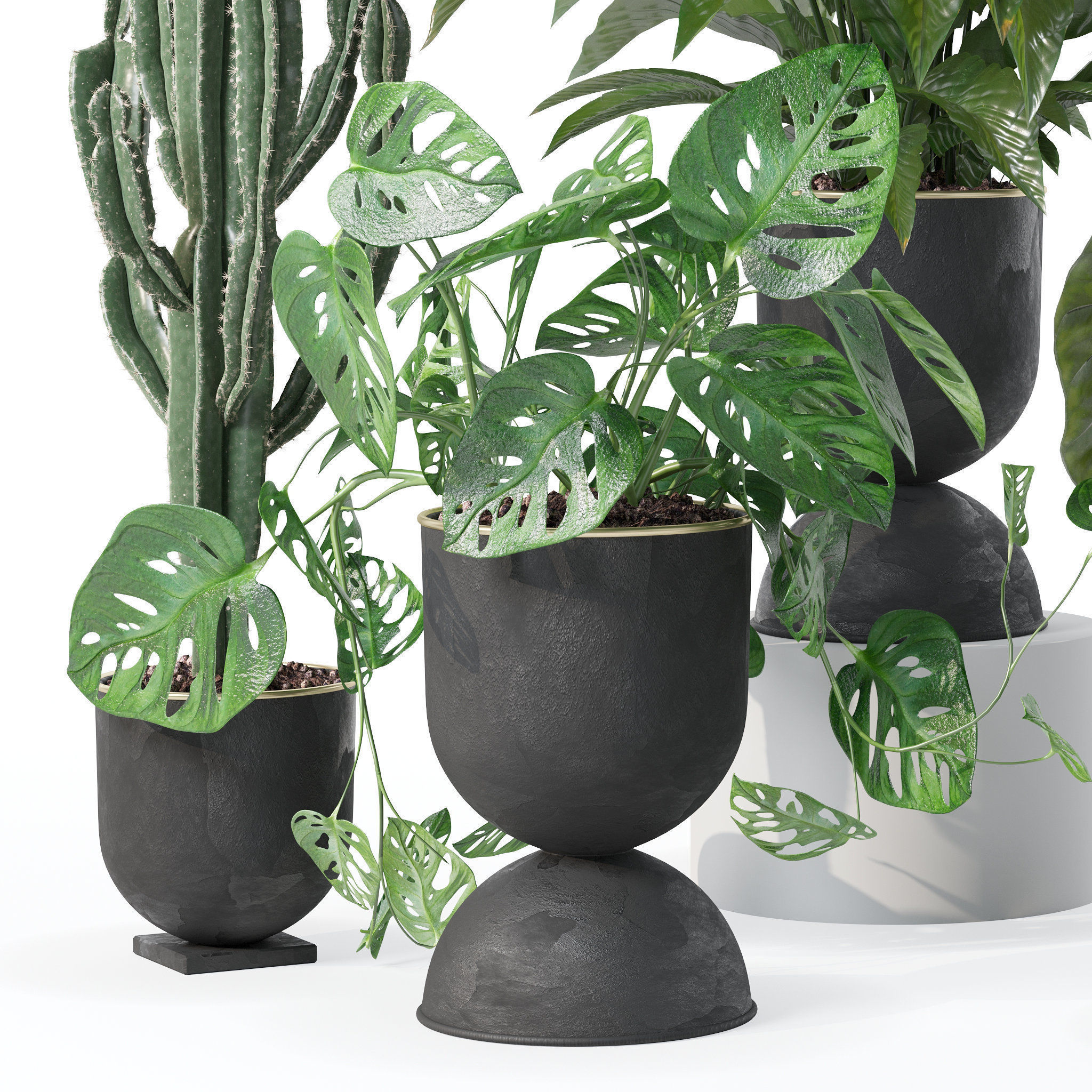 20 Photorealistic Flowers for Interiors - set 126 131 140 139 3D Model Collection_31