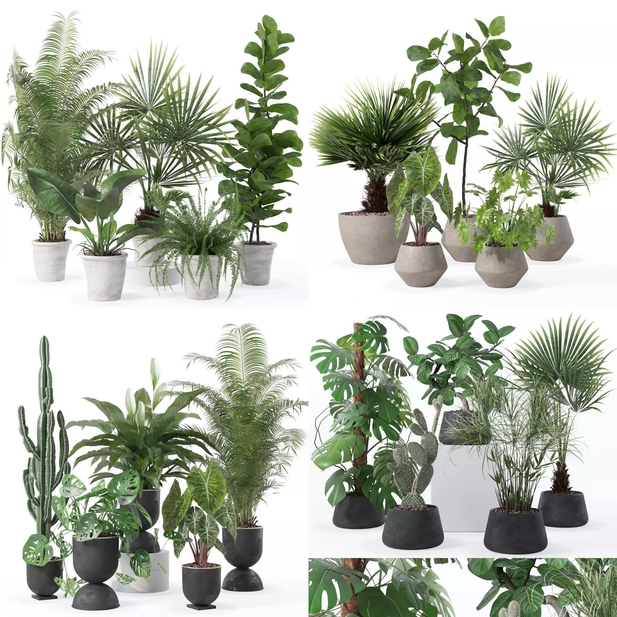 20 Photorealistic Flowers for Interiors - set 126 131 140 139 3D Model Collection_0