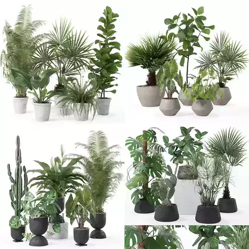 20 Photorealistic Flowers for Interiors - set 126 131 140 139 3D Model Collection