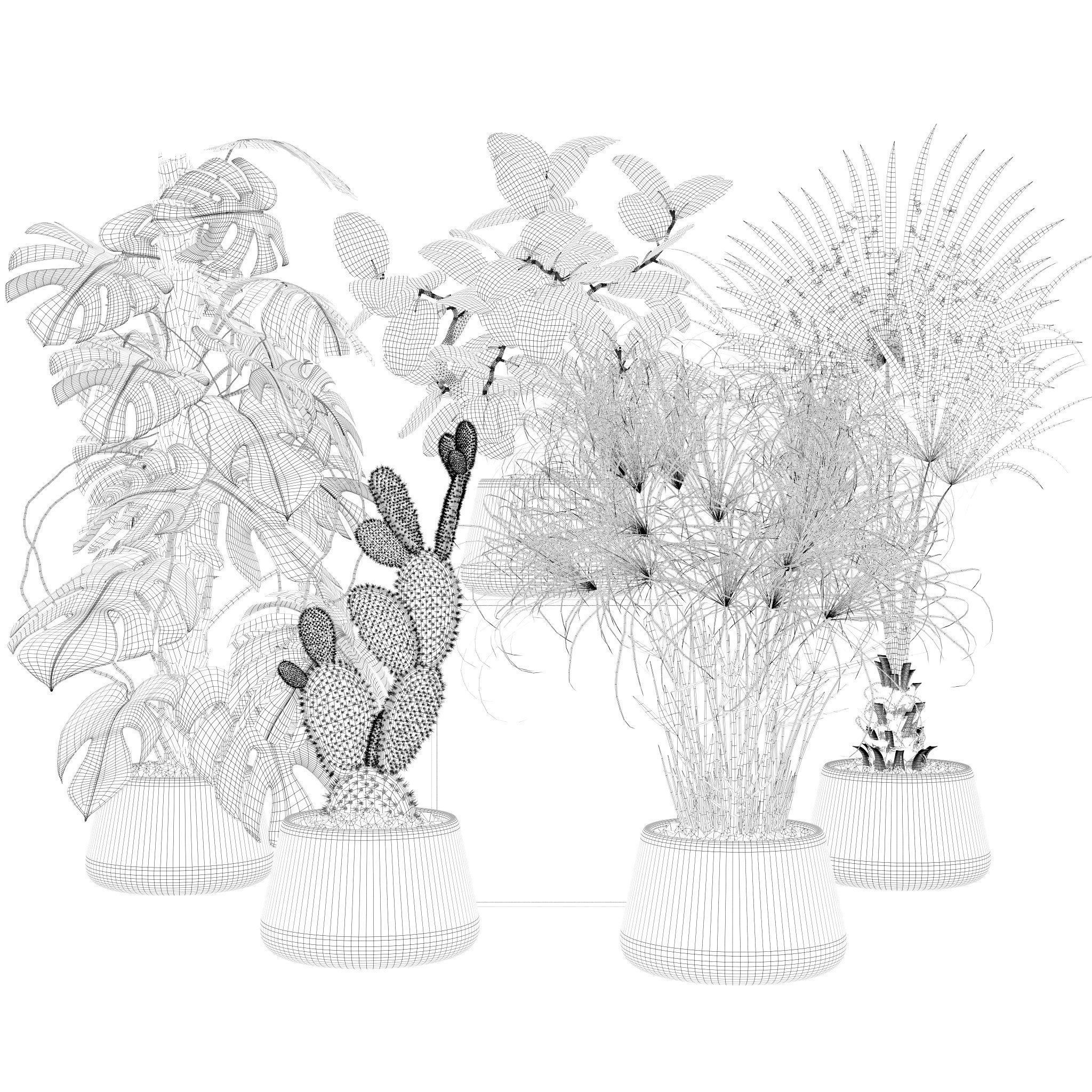 20 Photorealistic Flowers for Interiors - set 126 131 140 139 3D Model Collection_24