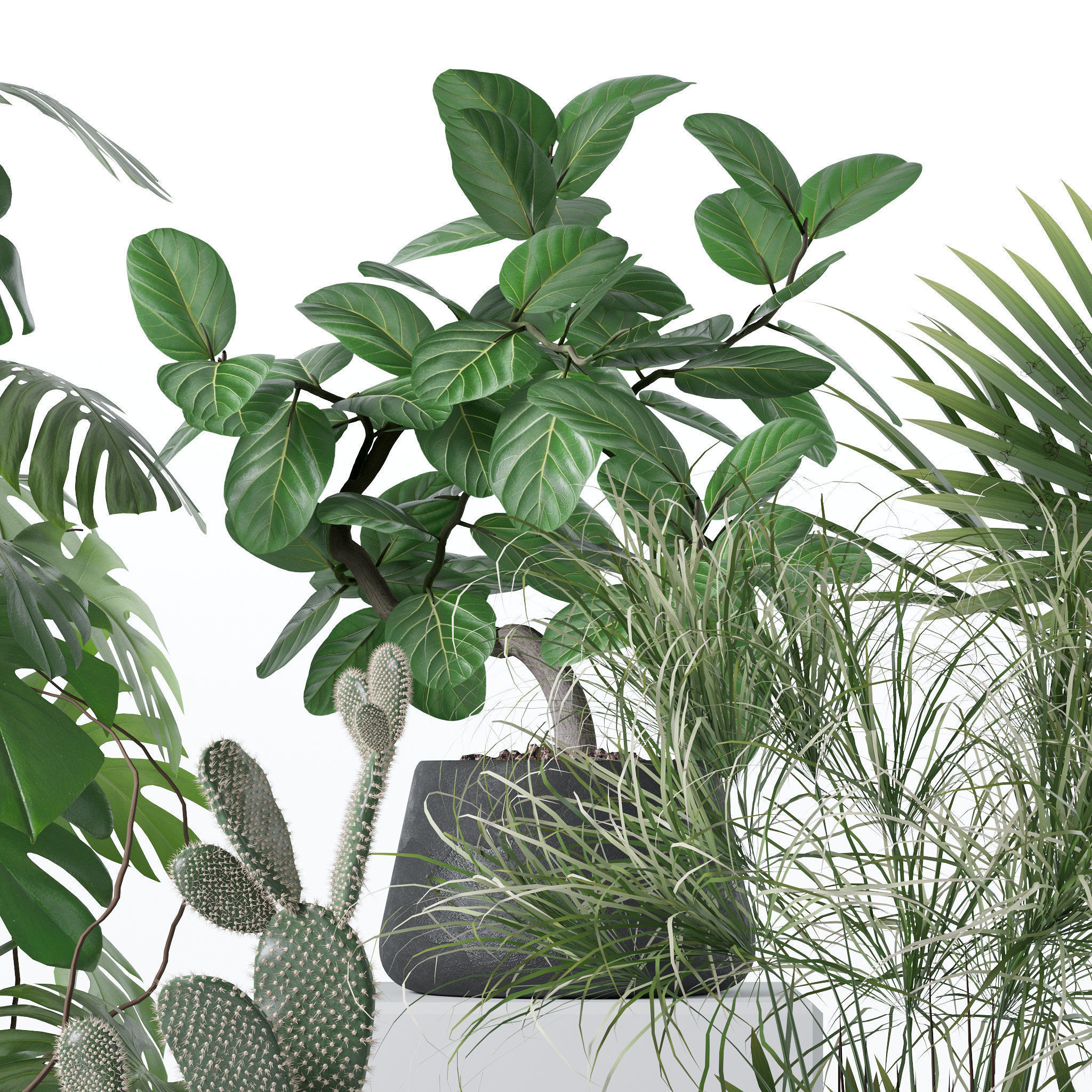 20 Photorealistic Flowers for Interiors - set 126 131 140 139 3D Model Collection_18