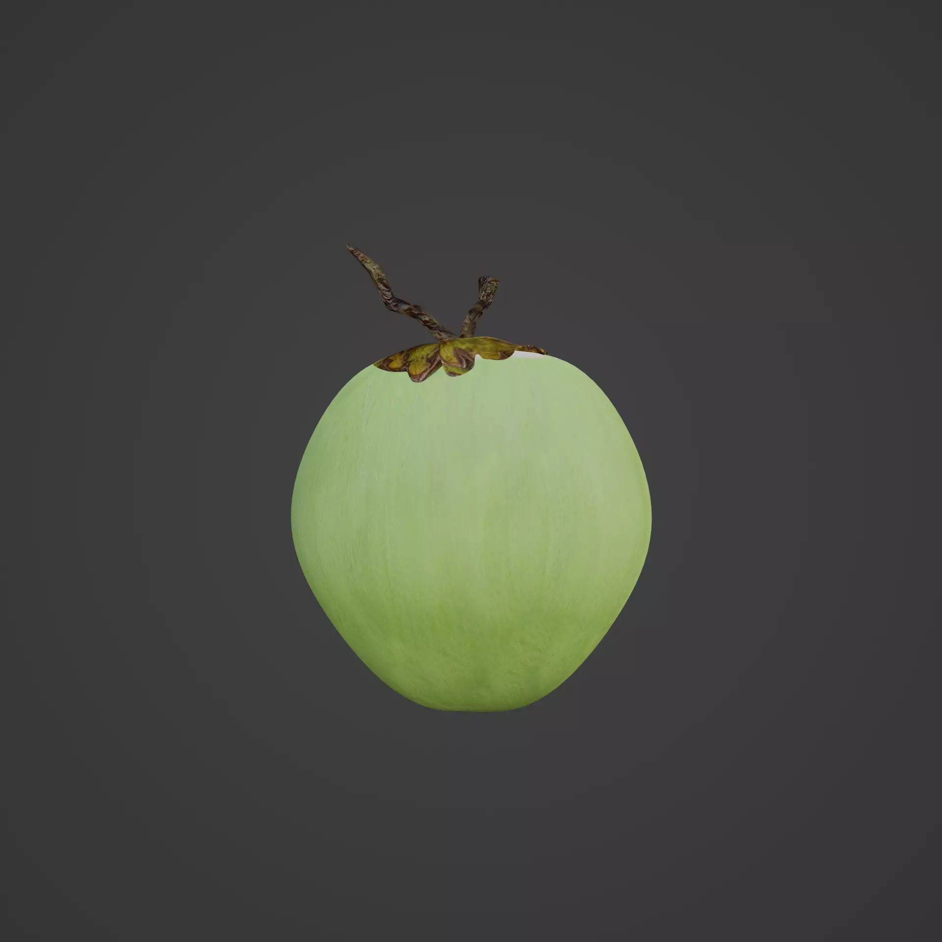 Coconut model fruit 3D model_0