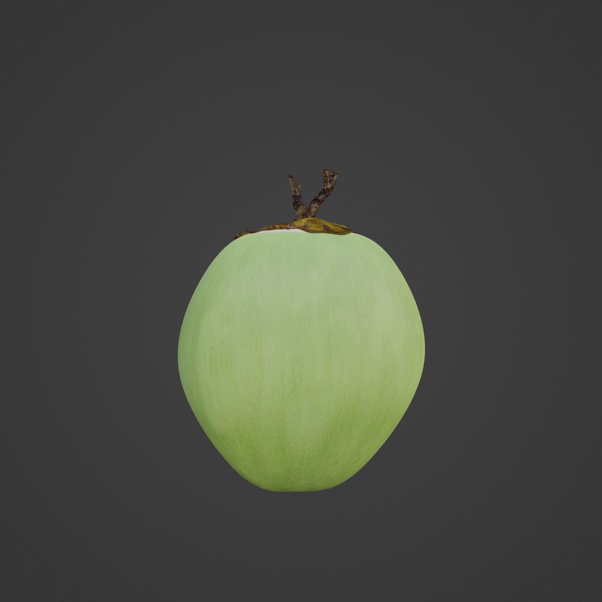 Coconut model fruit 3D model_2